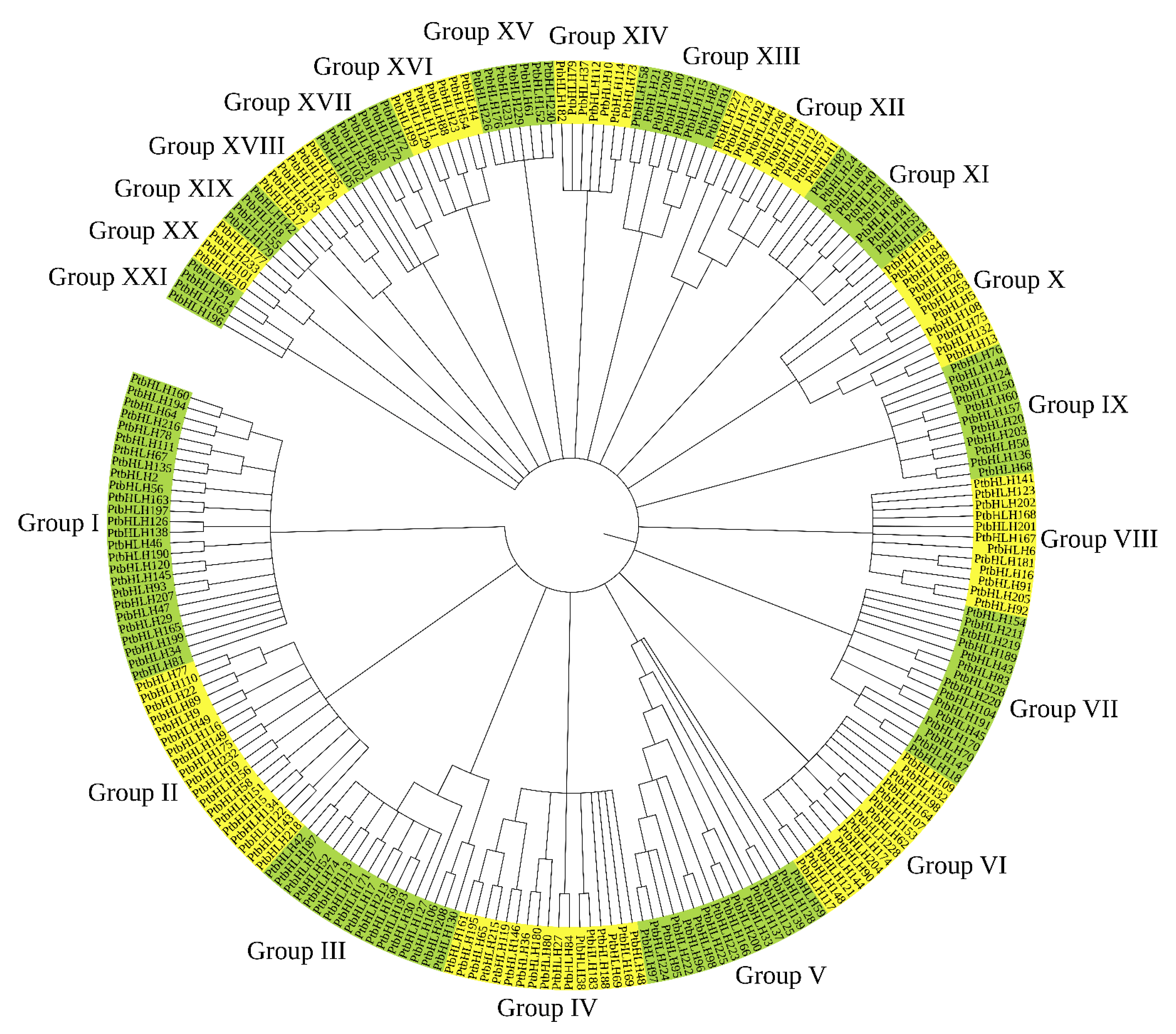 Forests 12 01439 g003 550