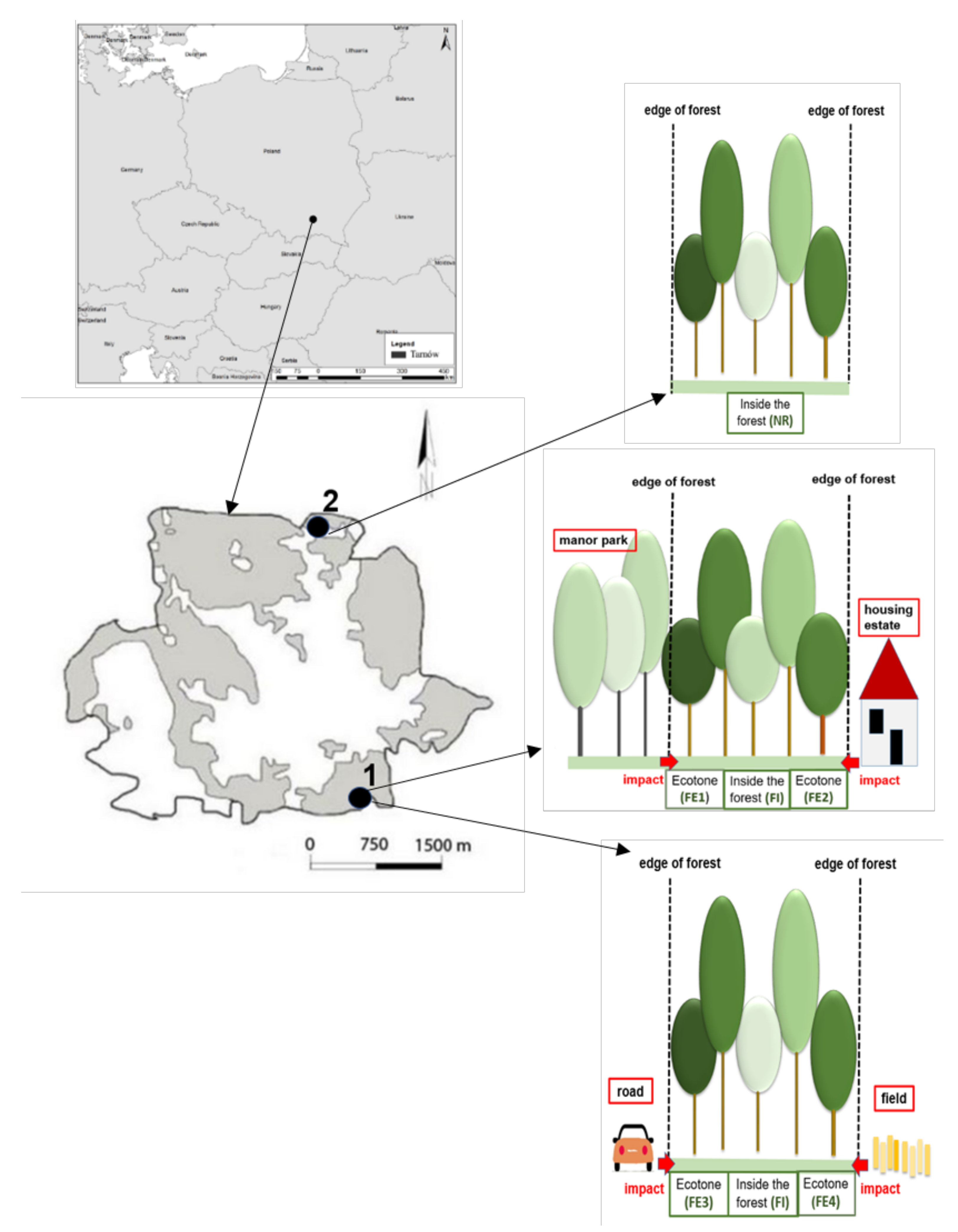 Forests 12 01440 g001 Forests 12 01440 g001
