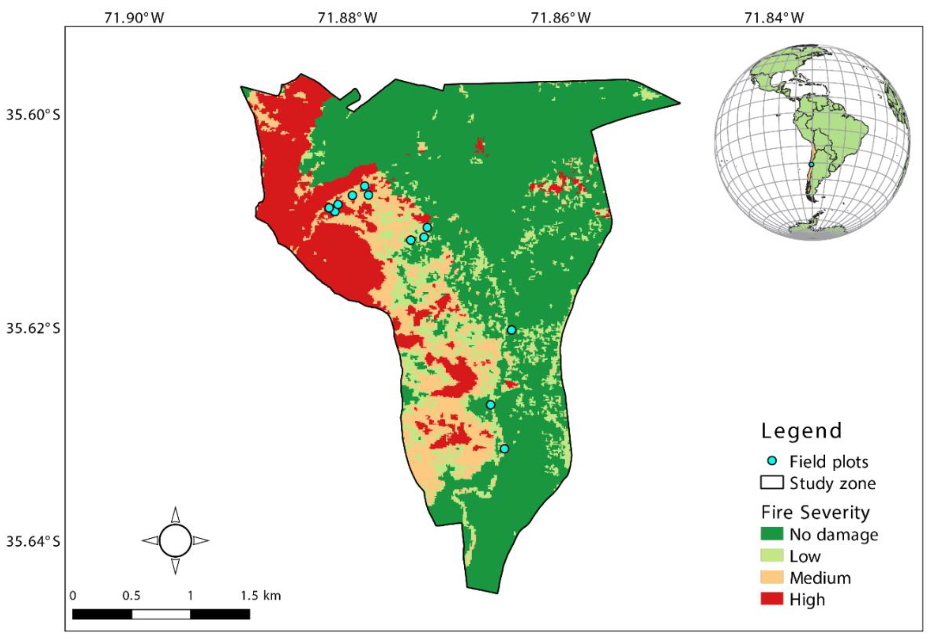 Forests 12 01444 g001