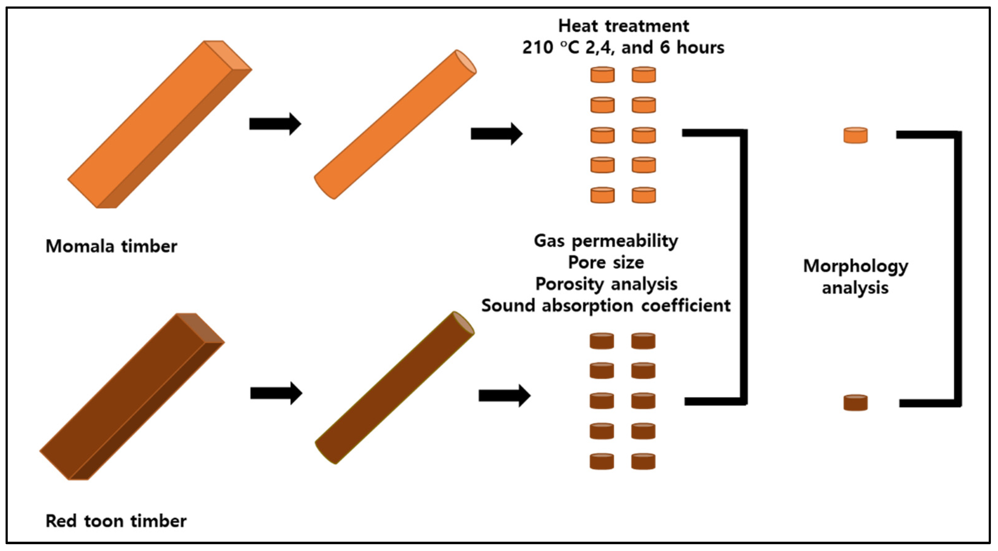 Forests 12 01447 g001 Forests 12 01447 g001
