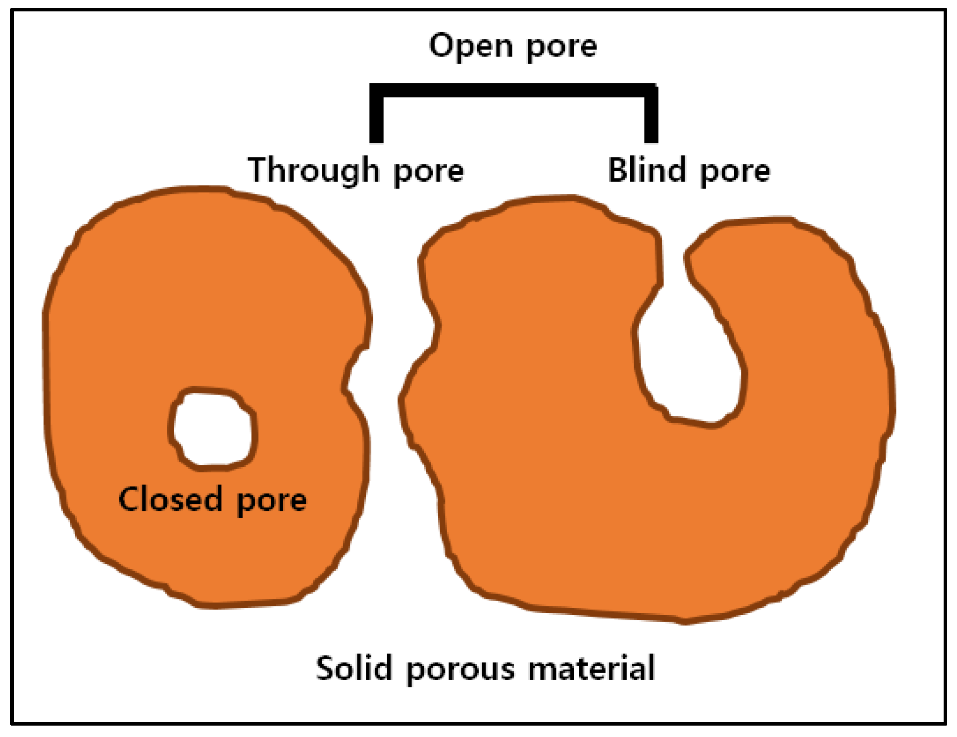 Forests 12 01447 g002 Forests 12 01447 g002