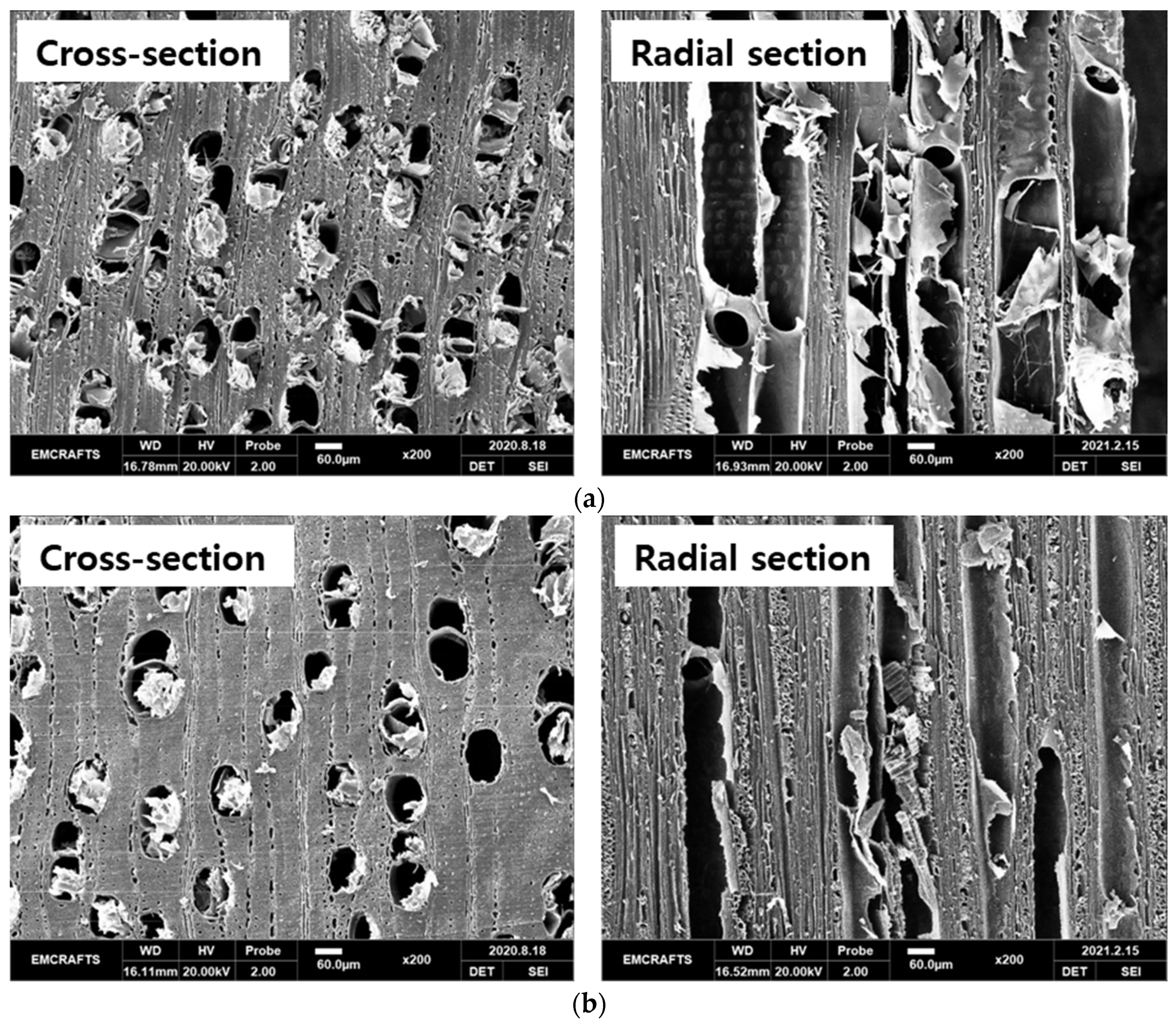 Forests 12 01447 g003a Forests 12 01447 g003a