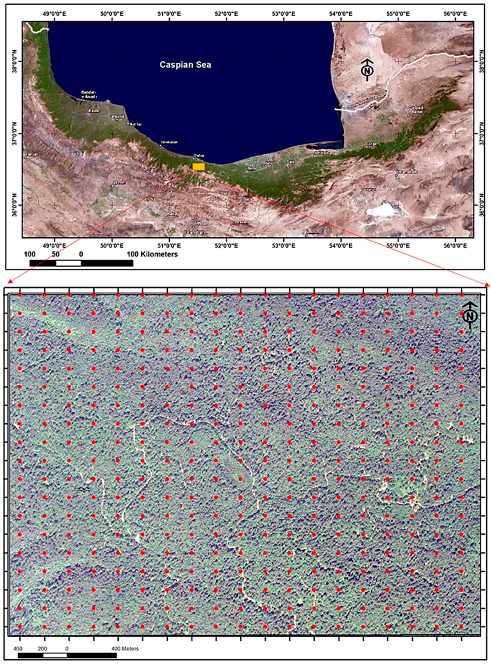 Forests 12 01450 g001 550
