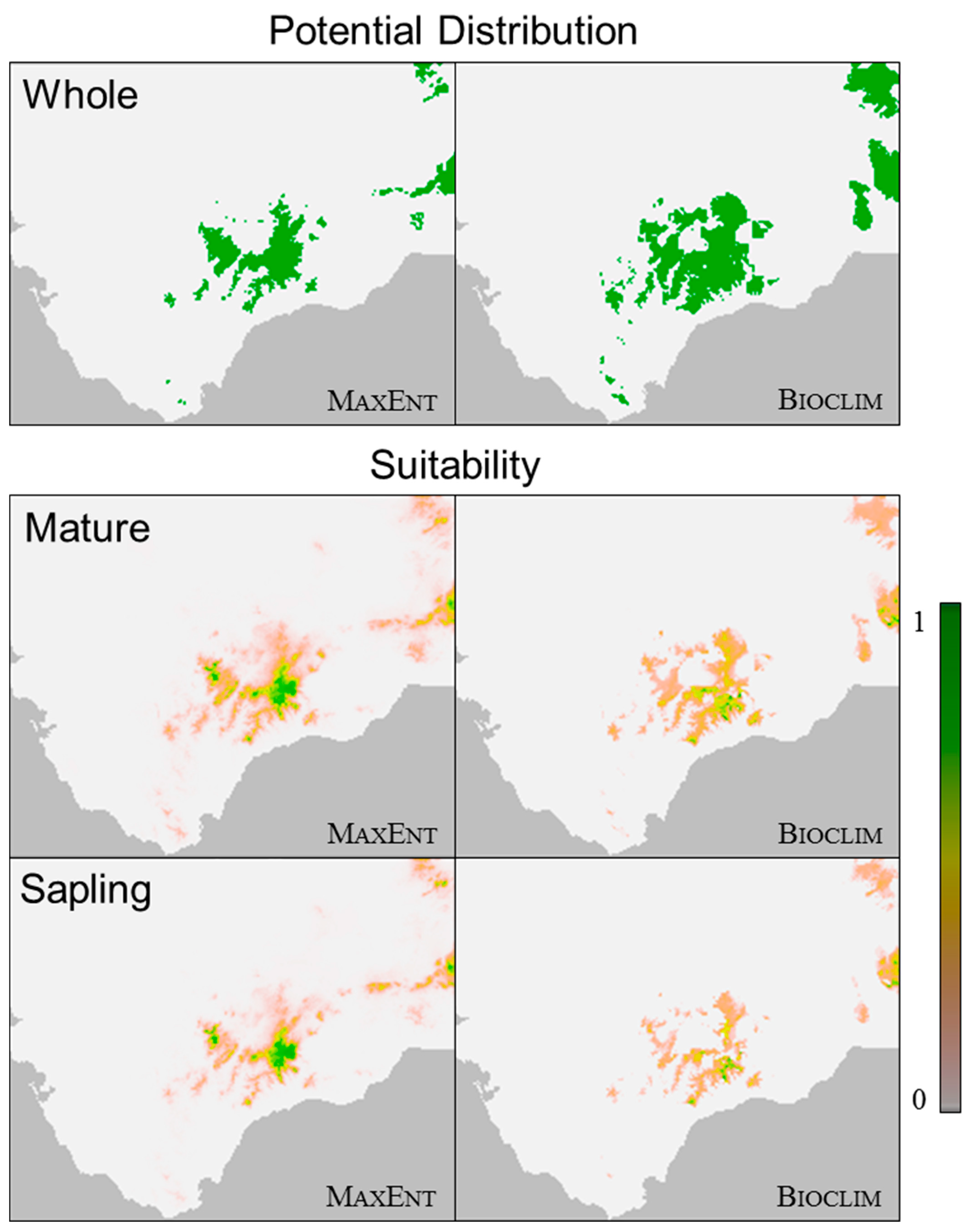 Forests 12 01451 g003 Forests 12 01451 g003