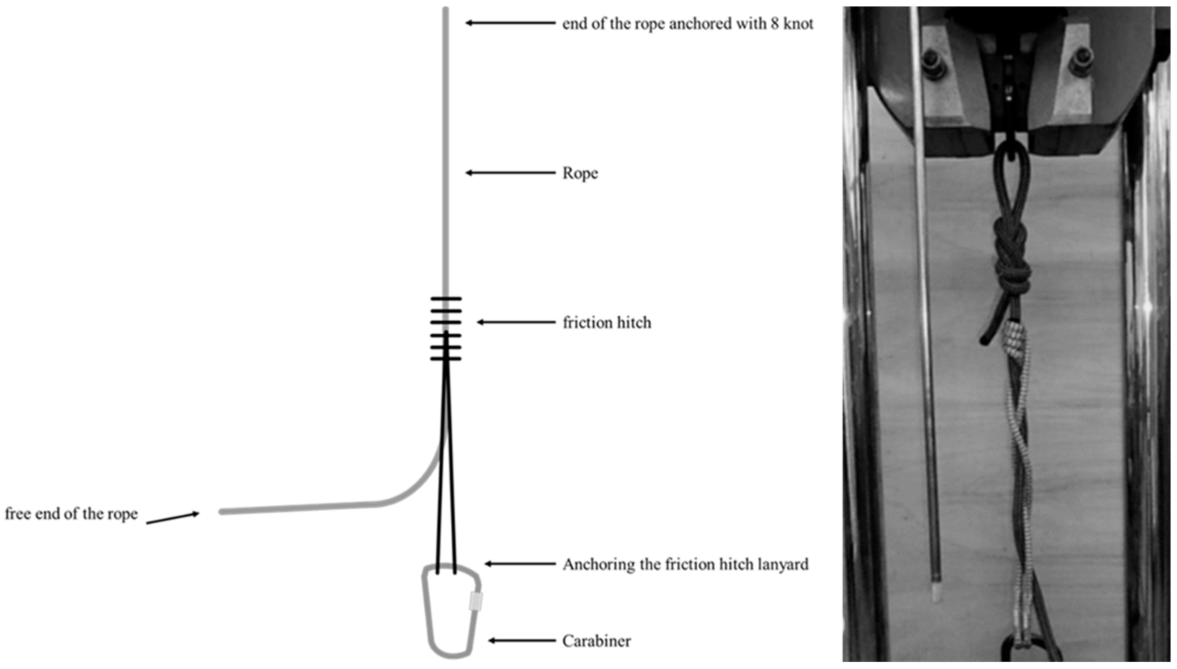 Forests 12 01457 g001