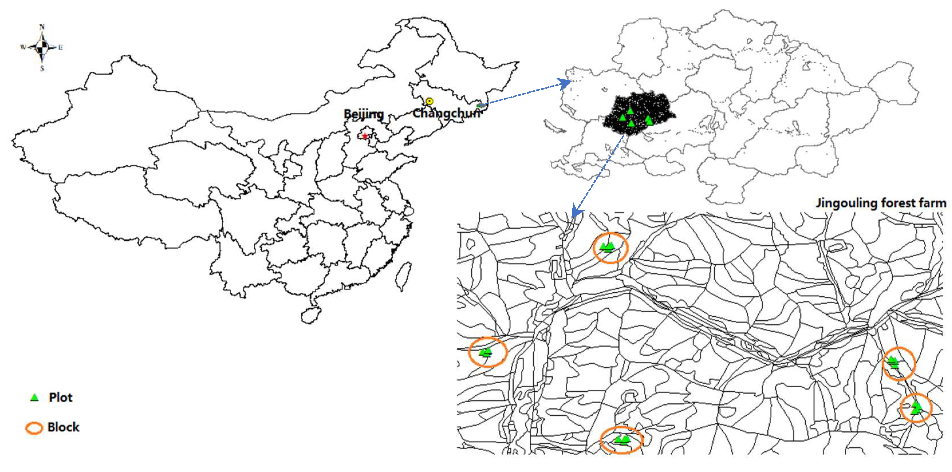 Forests 12 01460 g001