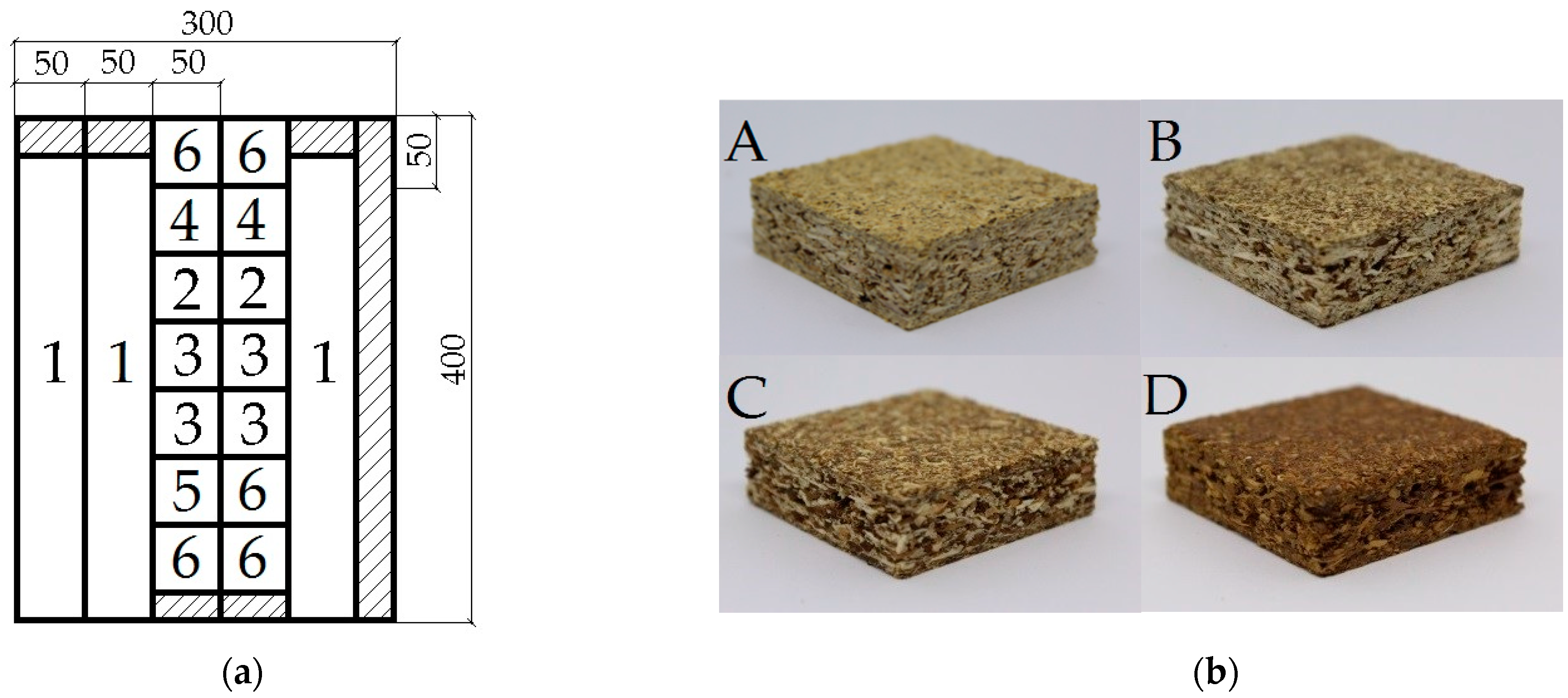 Forests 12 01462 g004 550