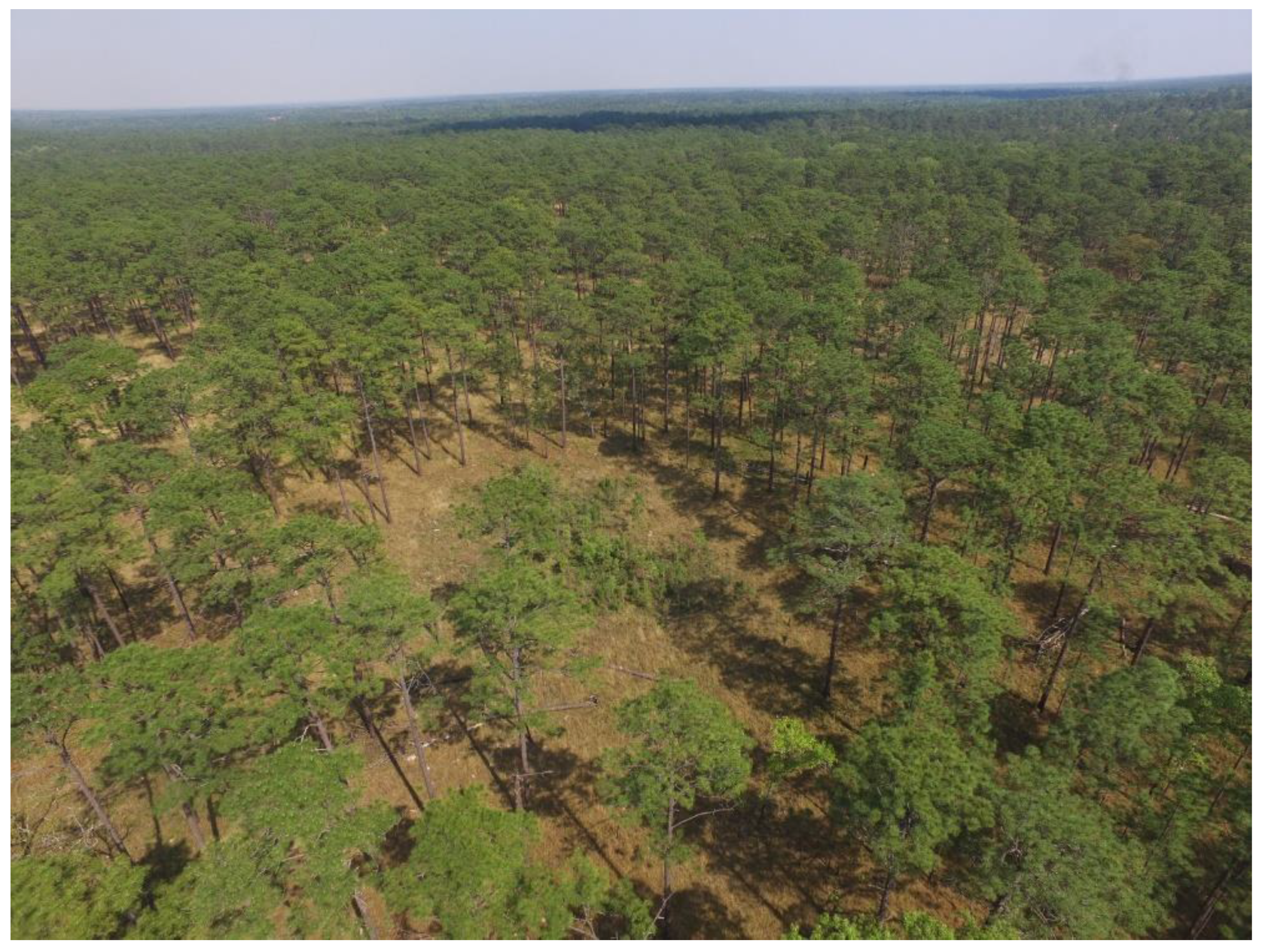 Forests 12 01472 g002 550