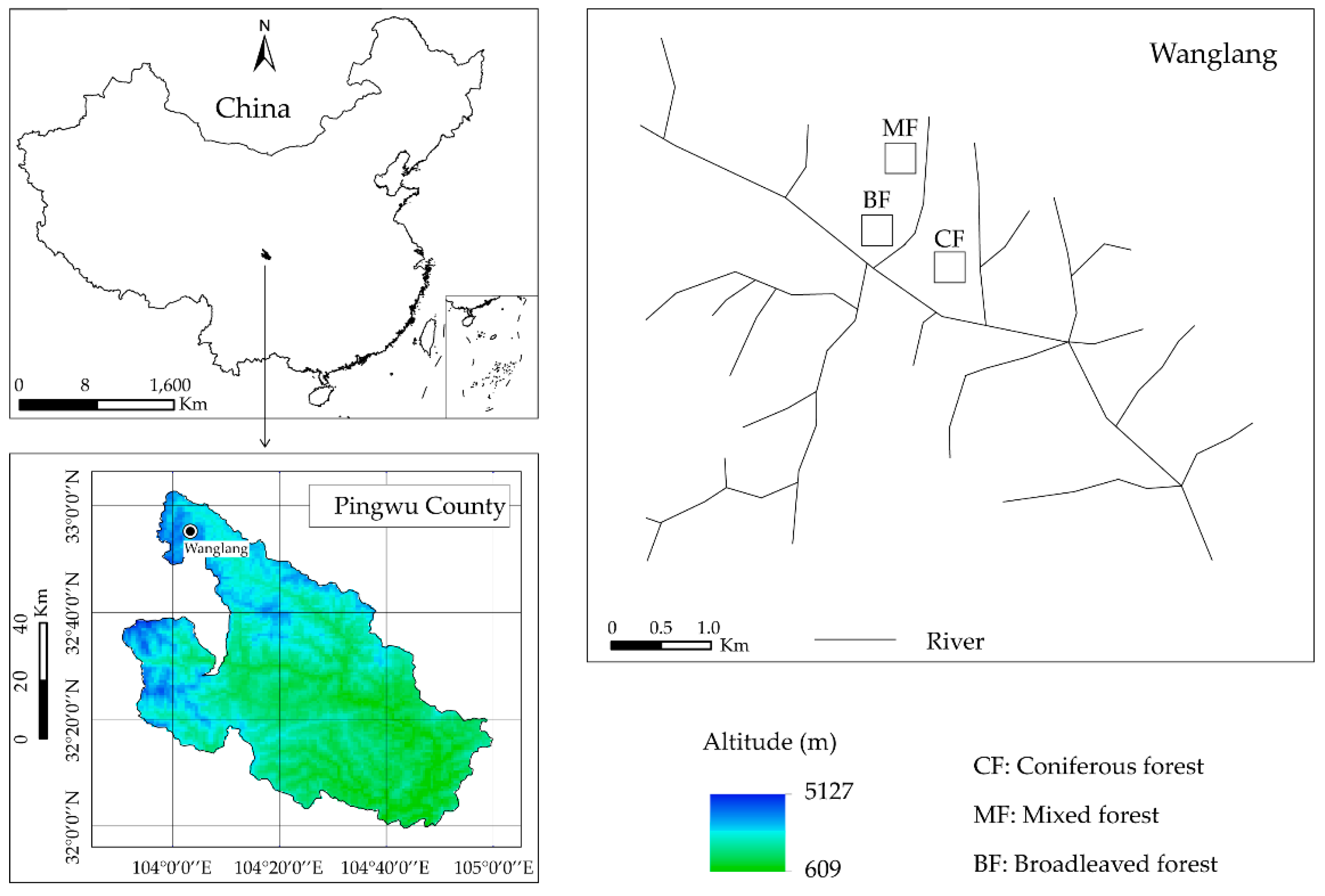 Decreased Soil Organic Carbon under Litter Input in Three