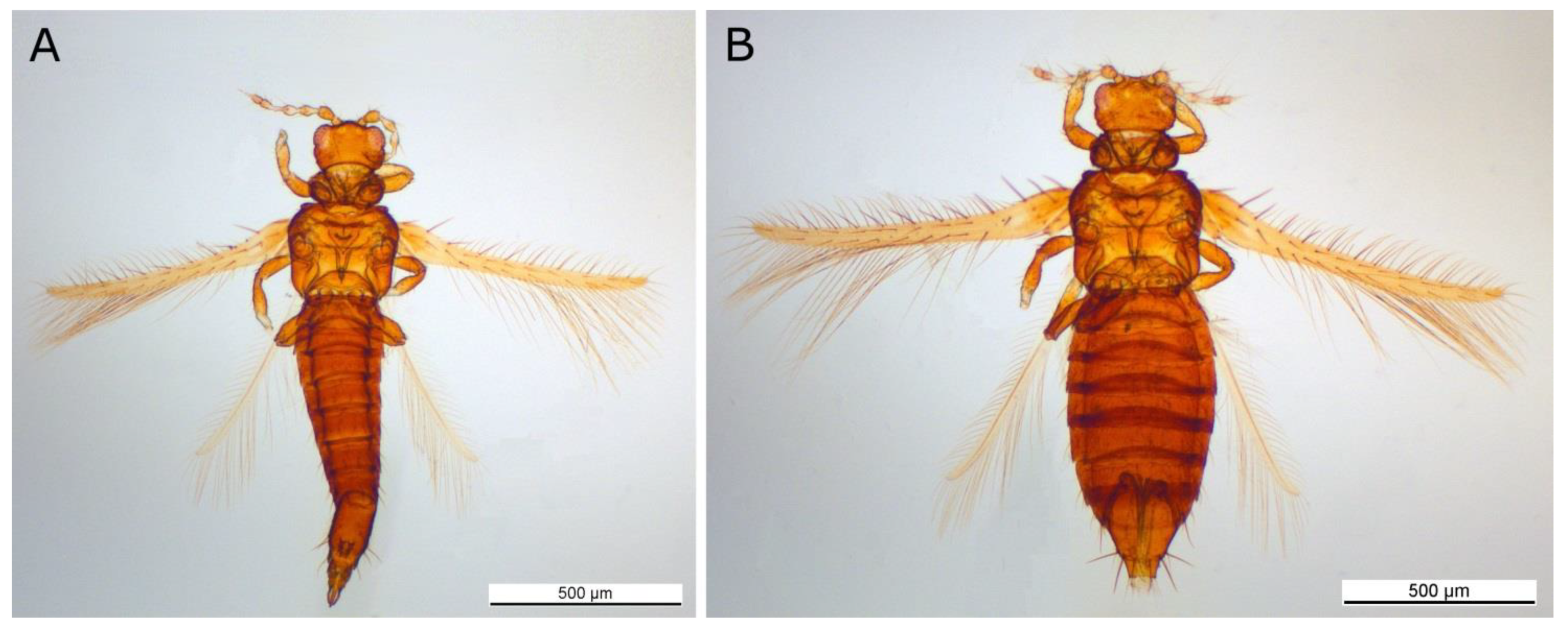 Forests 12 01484 g0a1 Forests 12 01484 g0a1