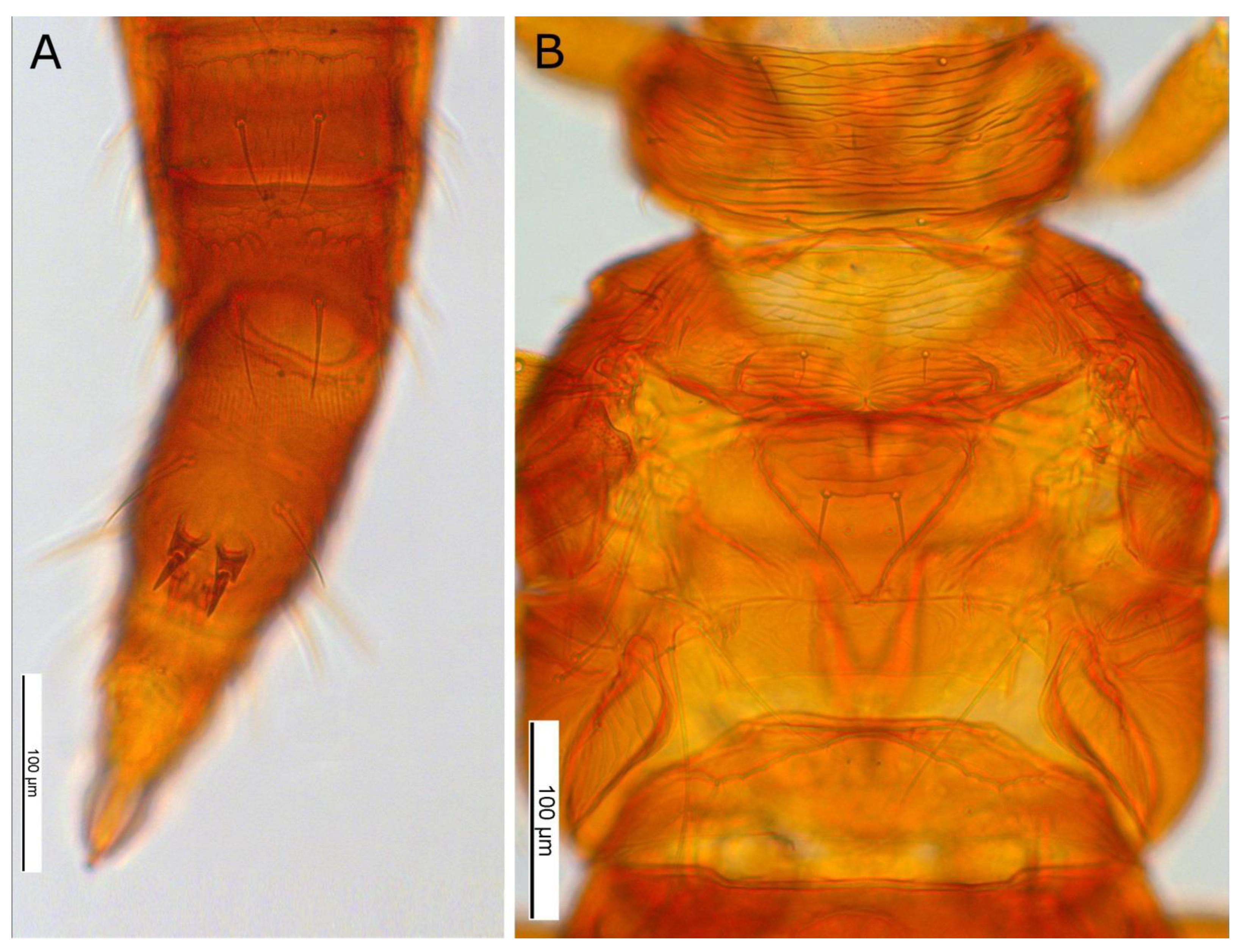 Forests 12 01484 g0a2 Forests 12 01484 g0a2