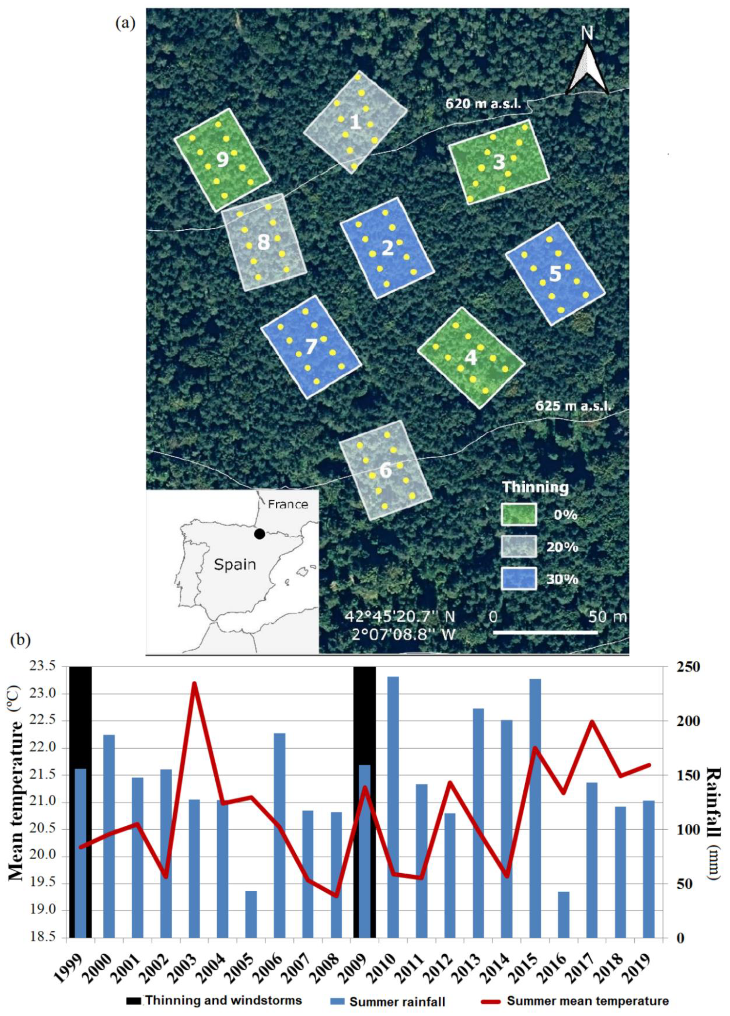 Forests 12 01485 g001