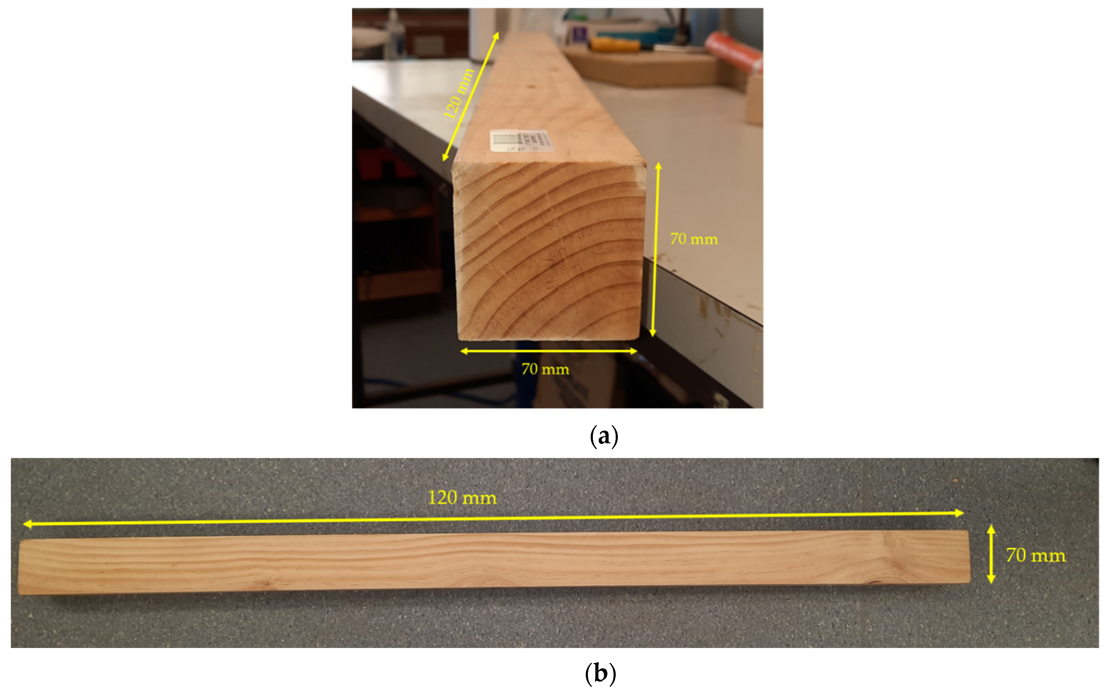 Forests 12 01486 g002 550