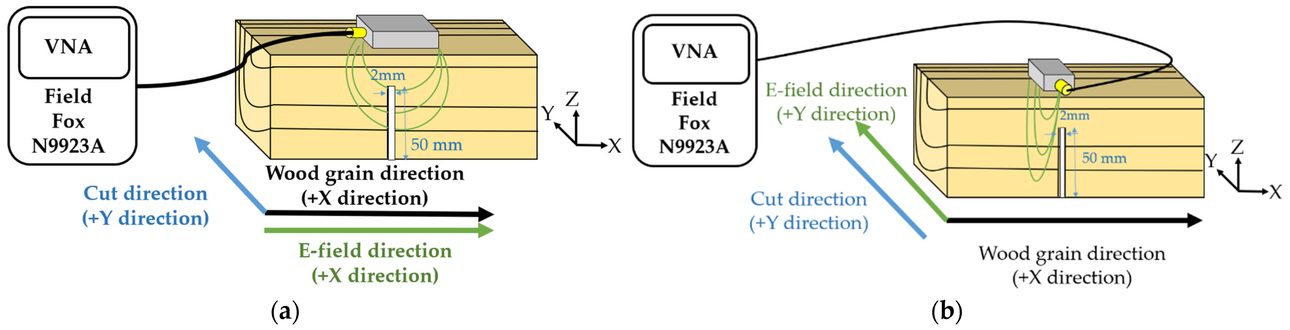 Forests 12 01486 g012 550