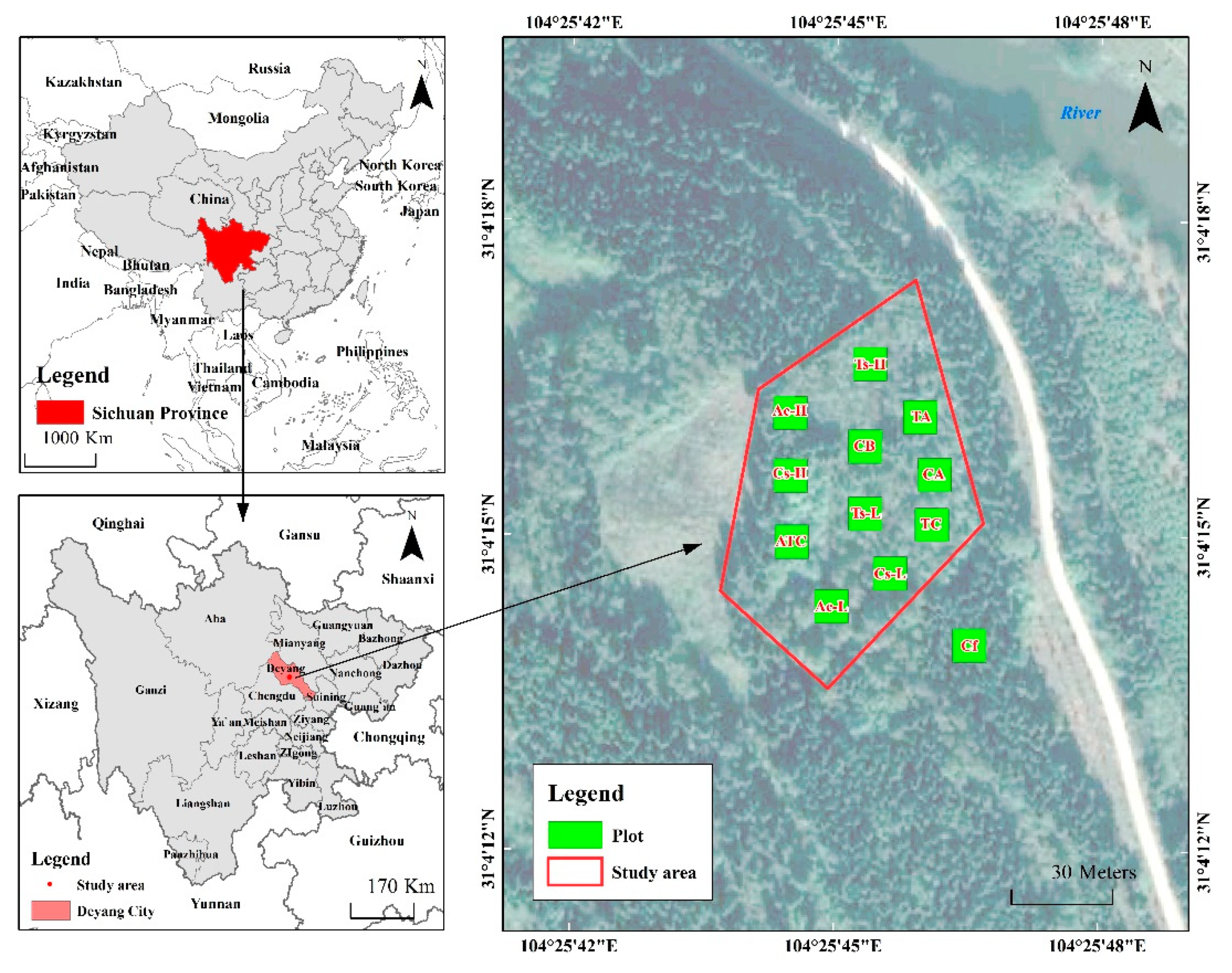 Forests 12 01492 g001