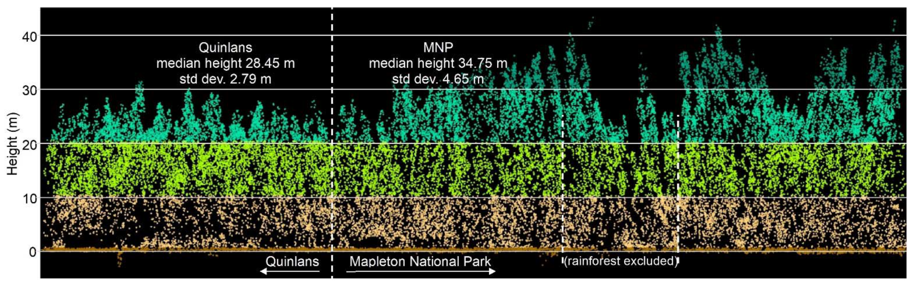 Forests 12 01494 g008