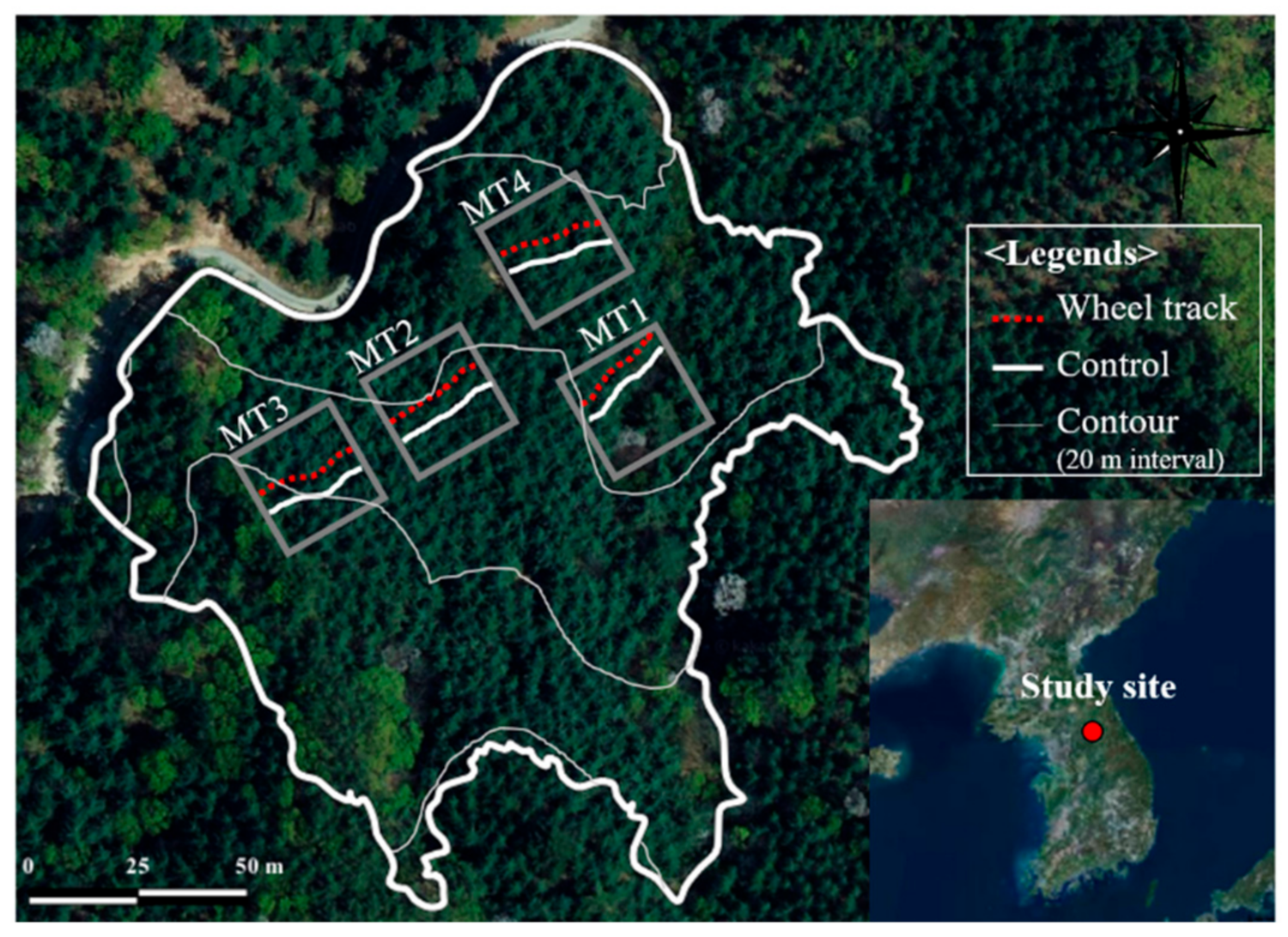 Forests 12 01497 g001