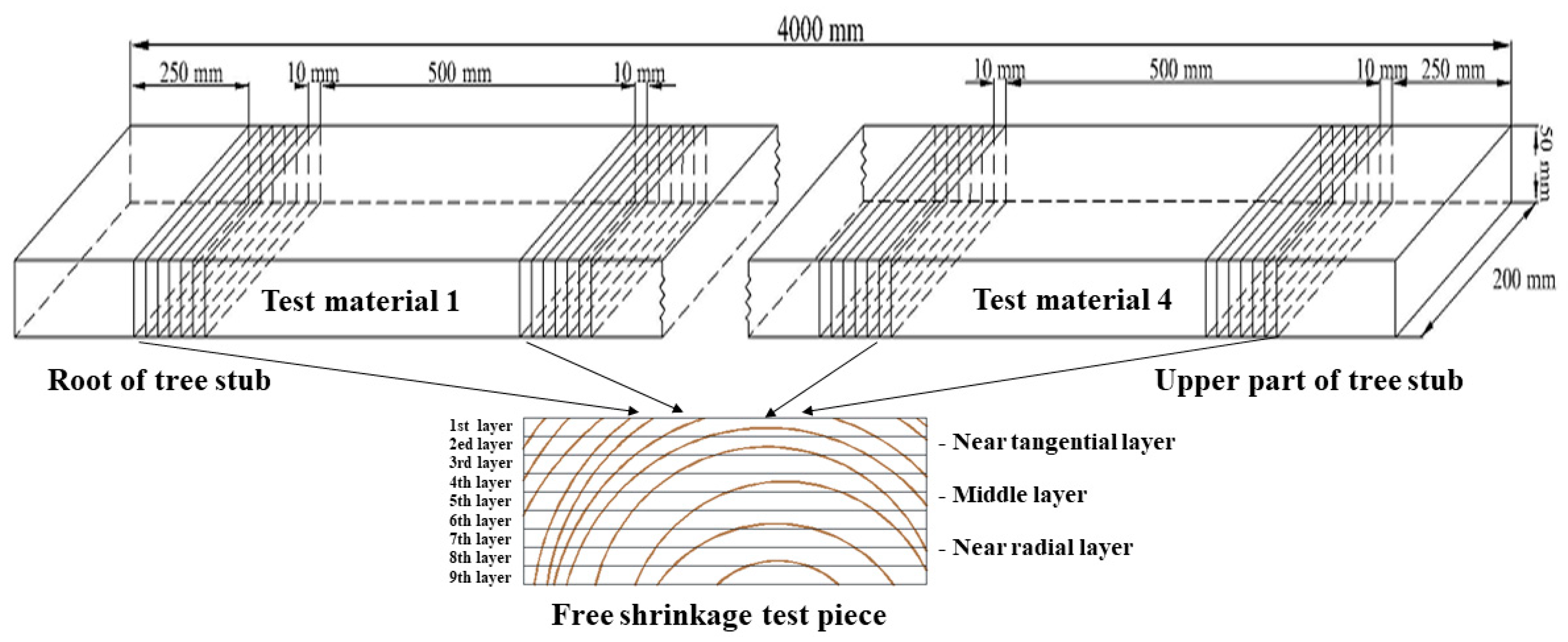 Forests 12 01500 g001 550