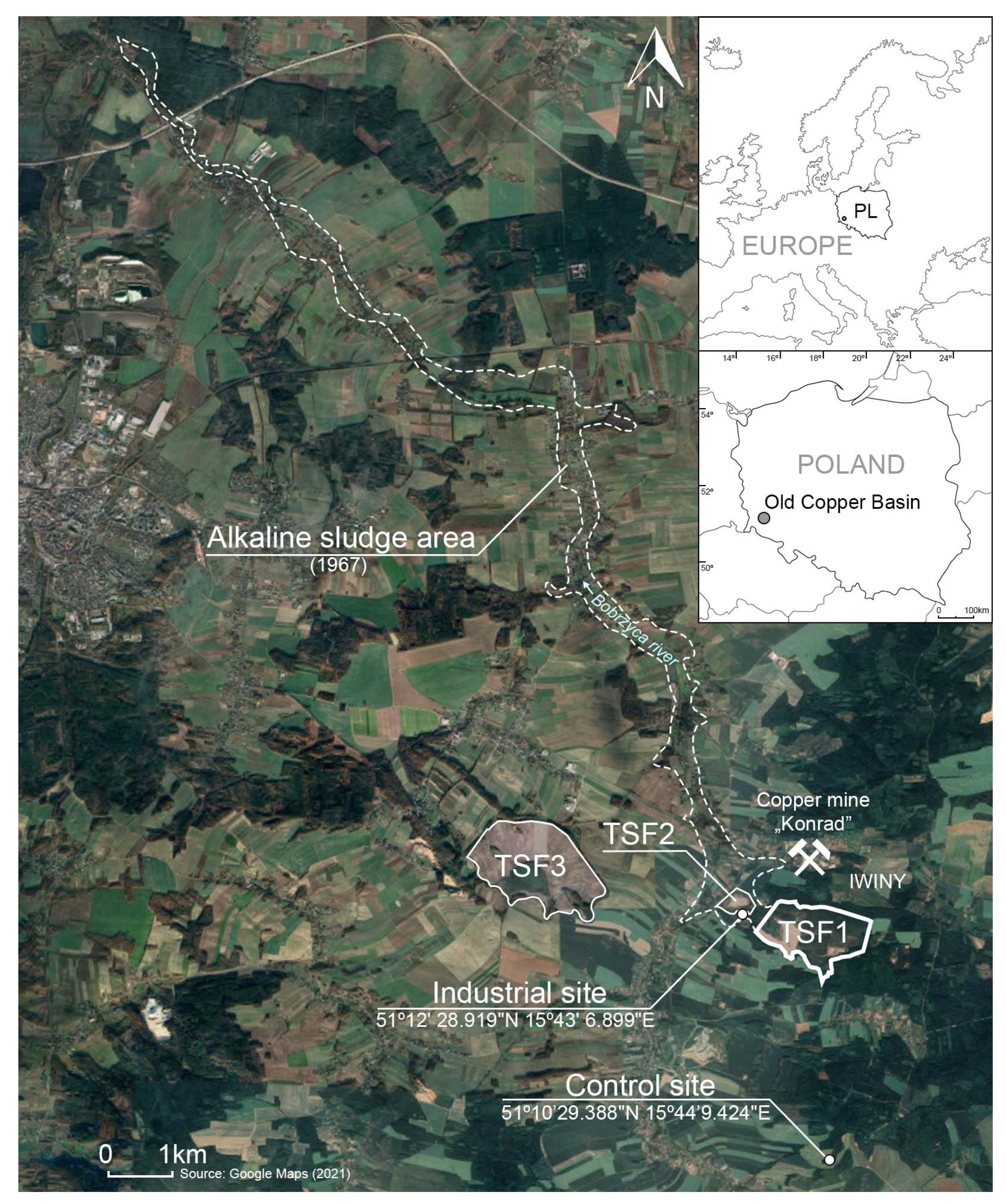 Forests 12 01505 g001 Forests 12 01505 g001