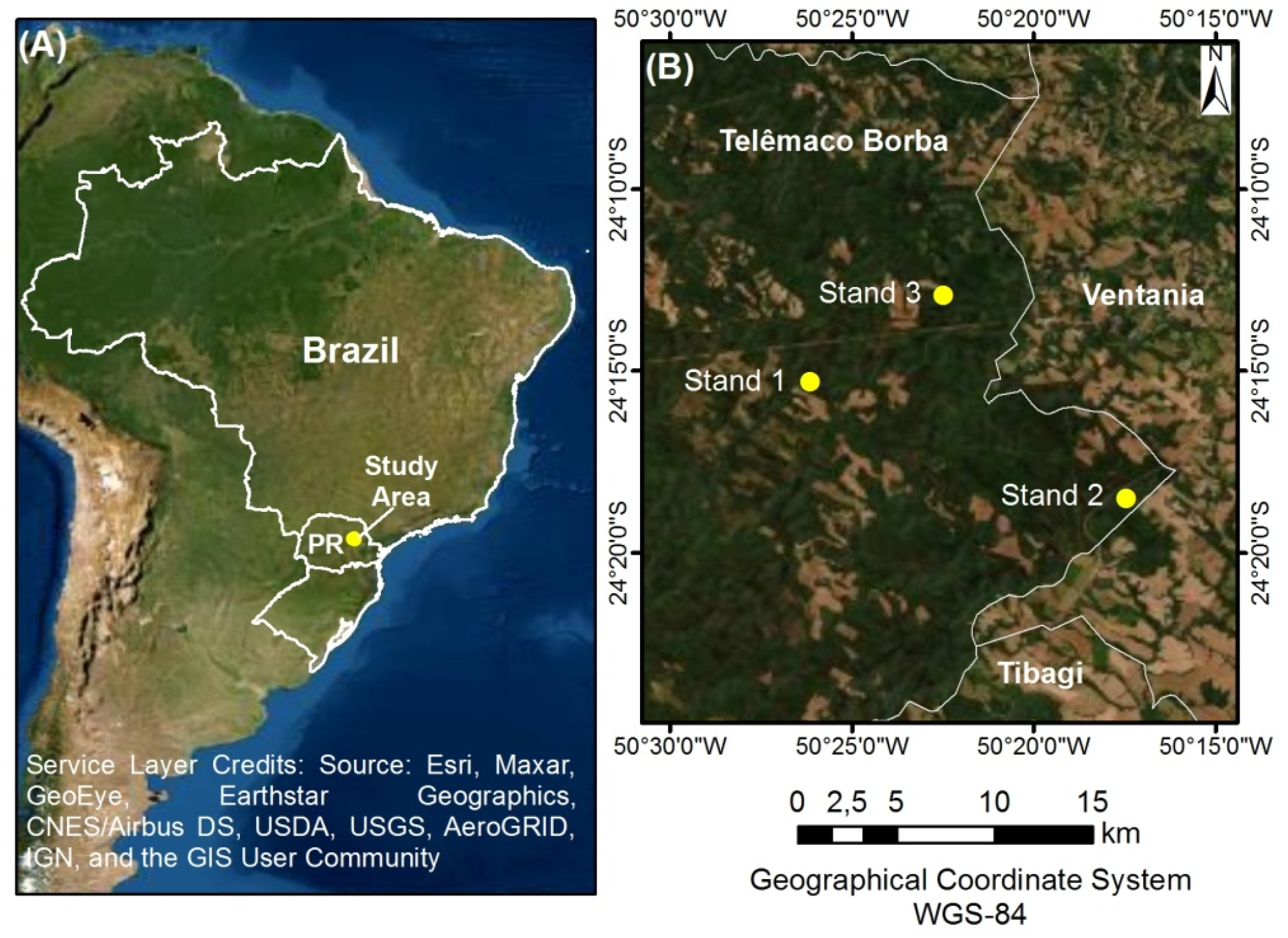 Forests 12 01508 g001