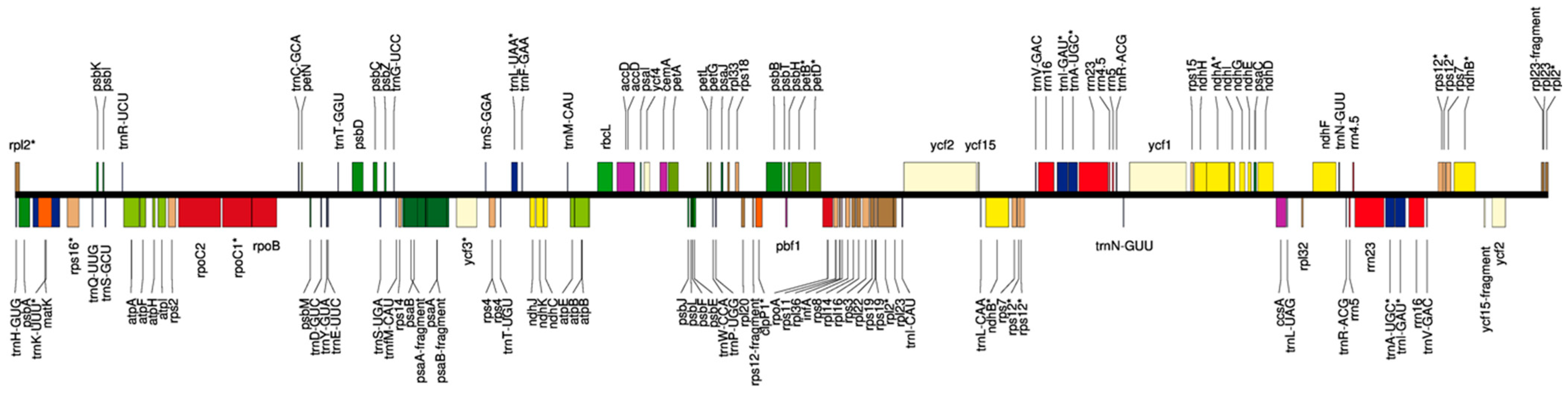 Forests 12 01515 g003 Forests 12 01515 g003