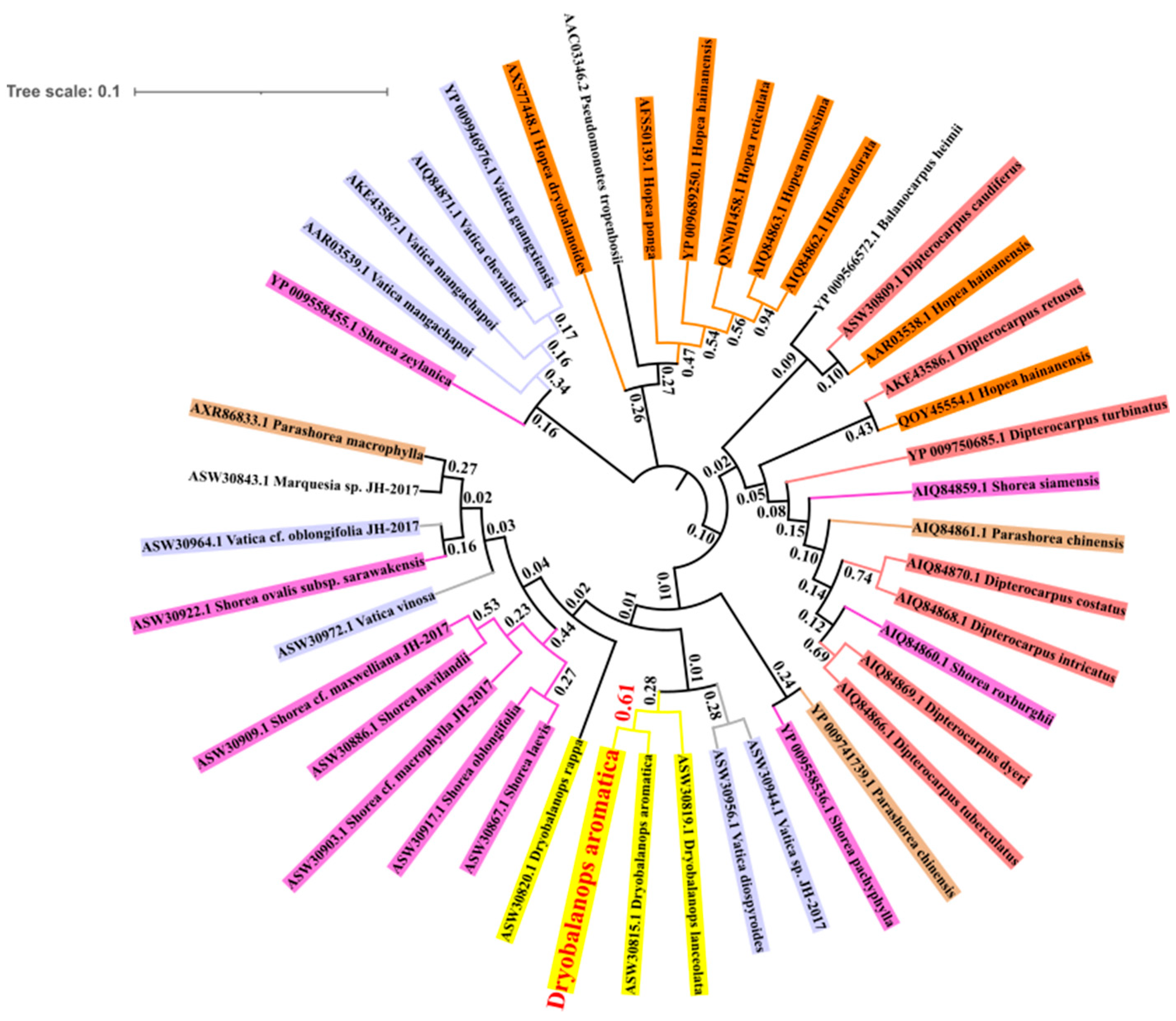 Forests 12 01515 g004 Forests 12 01515 g004