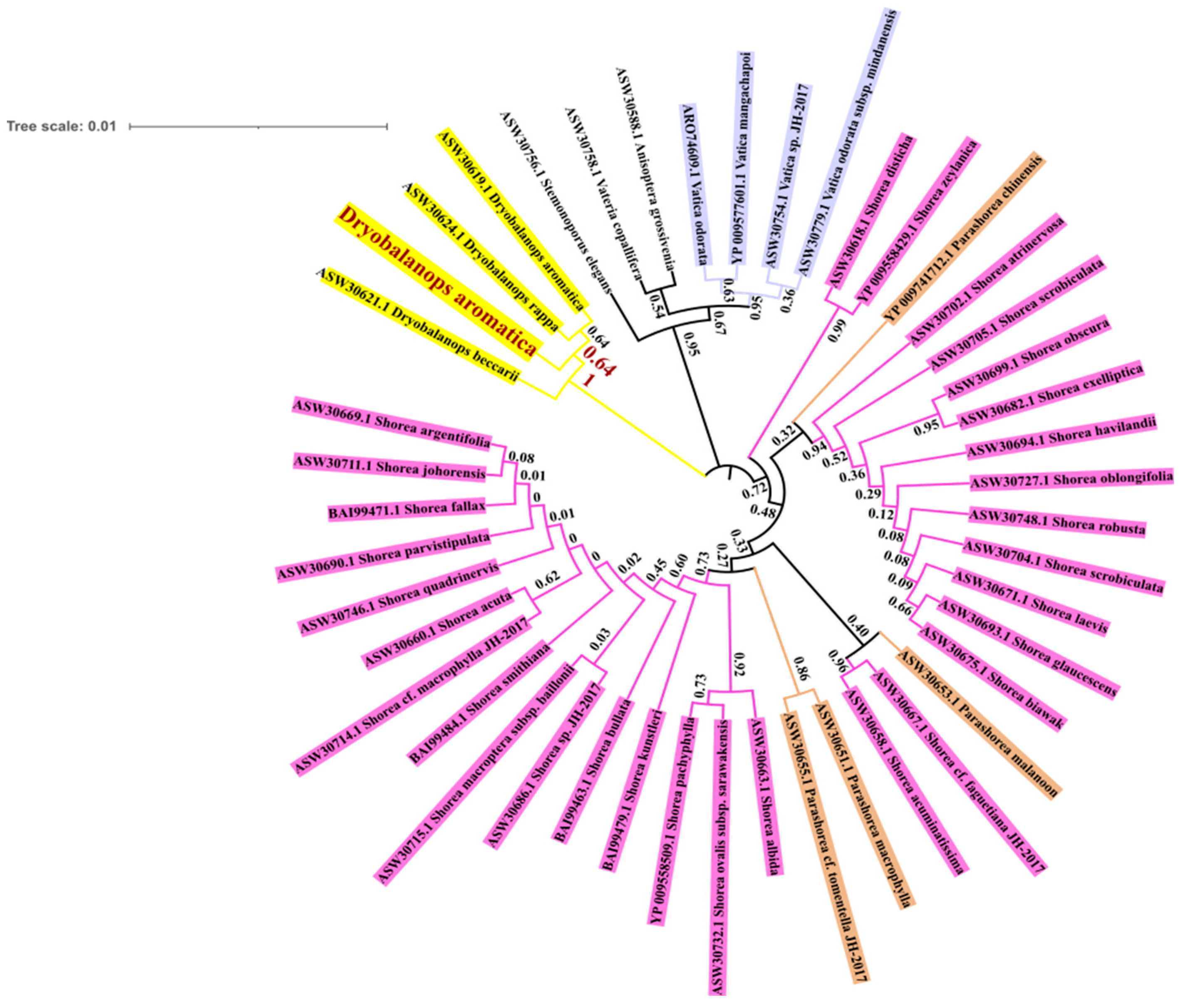 Forests 12 01515 g005 Forests 12 01515 g005