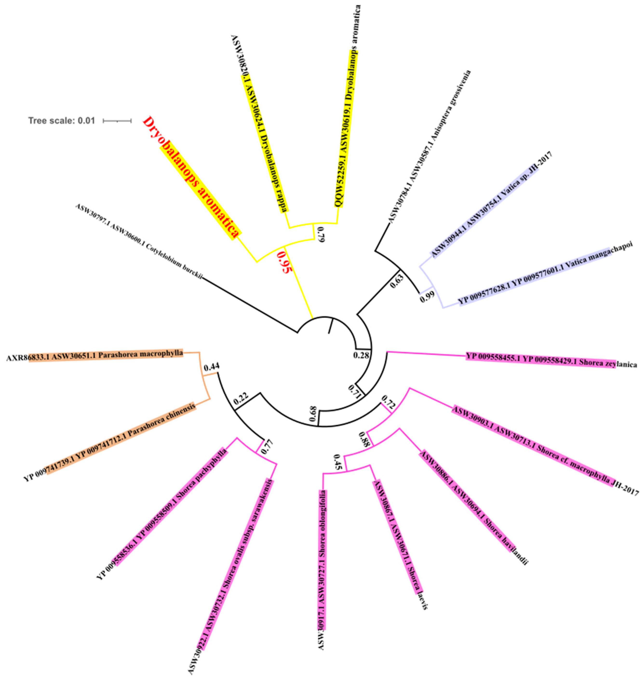 Forests 12 01515 g006 Forests 12 01515 g006