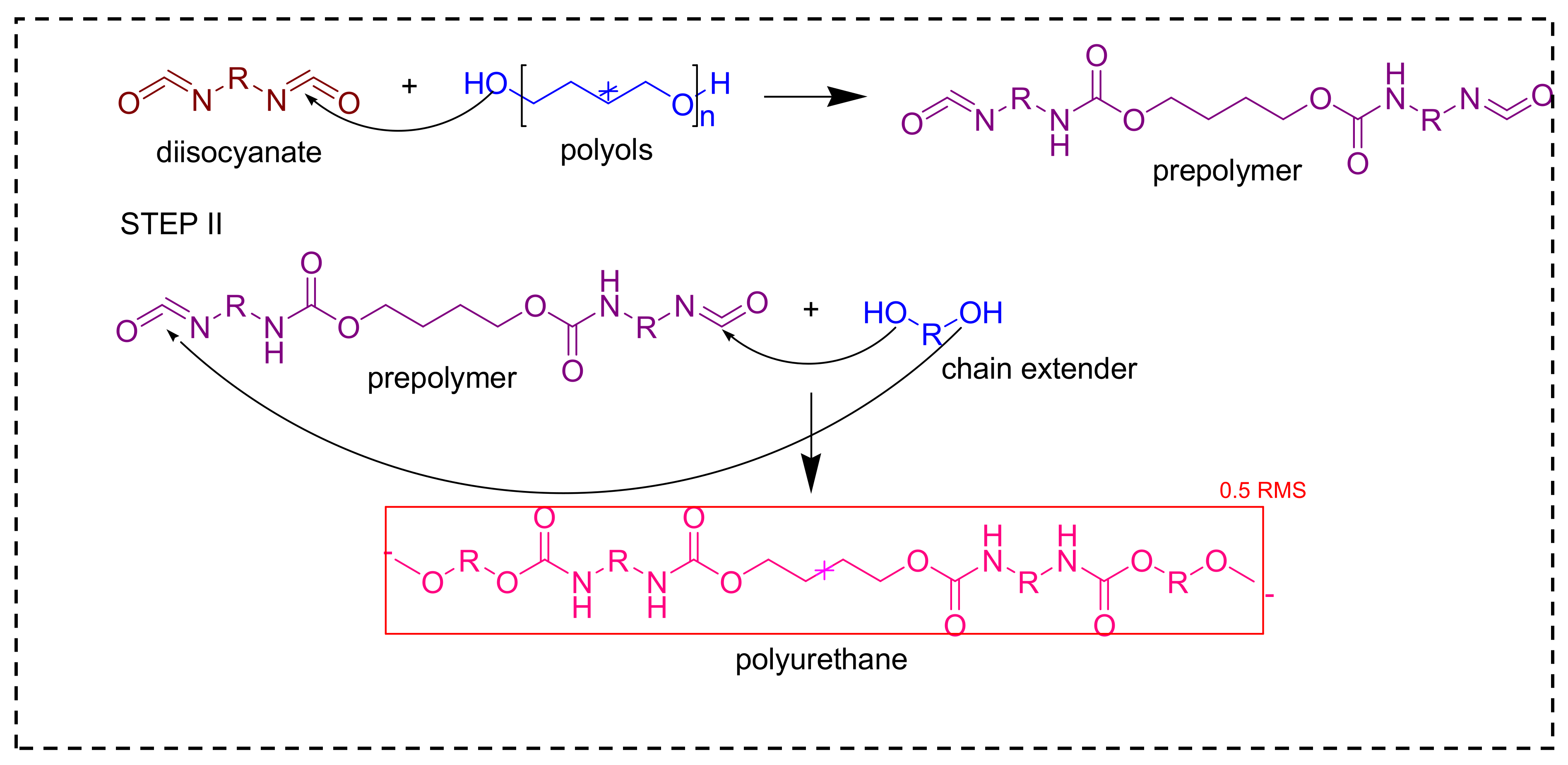 Forests 12 01516 g002