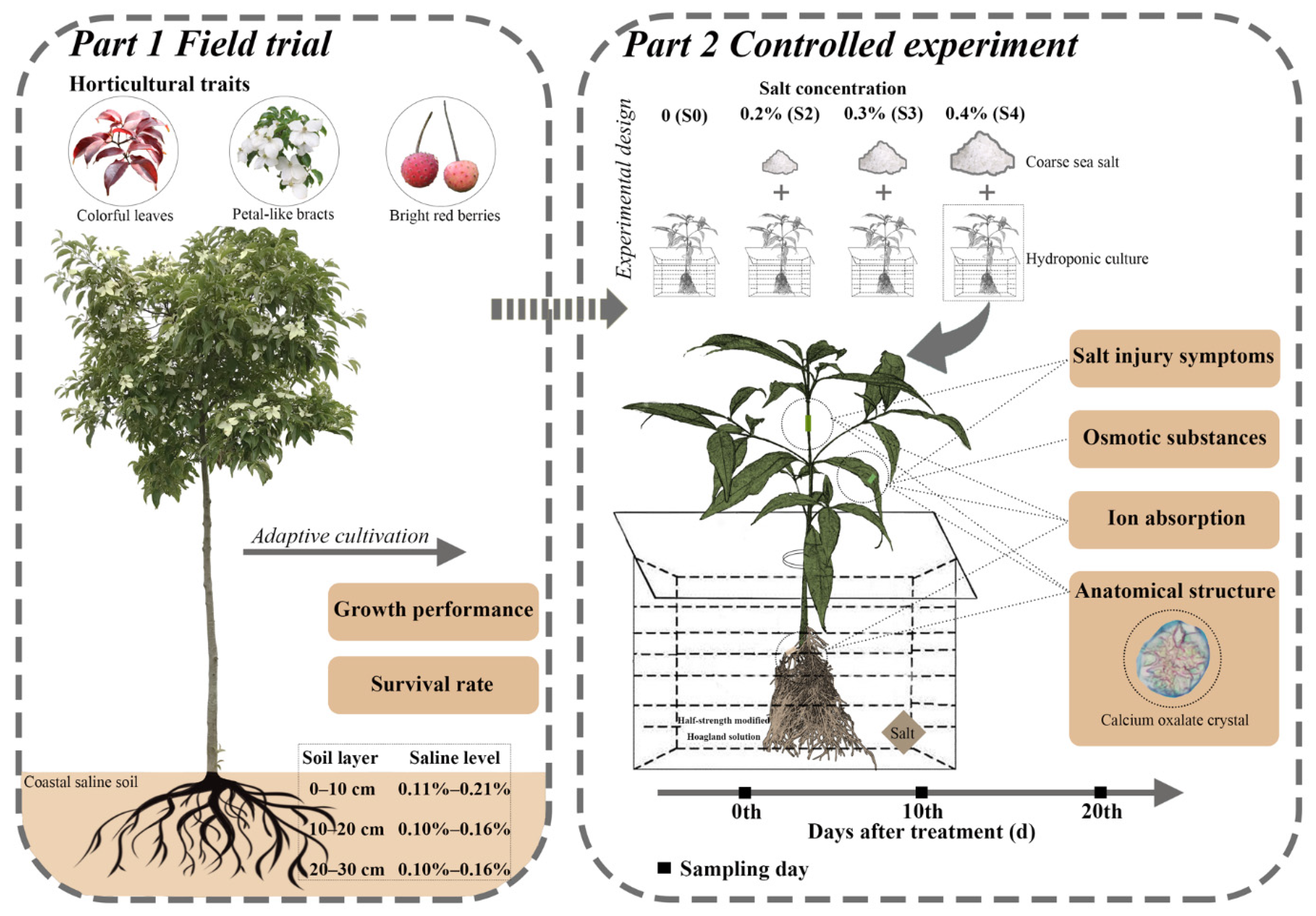 Forests 12 01522 g001