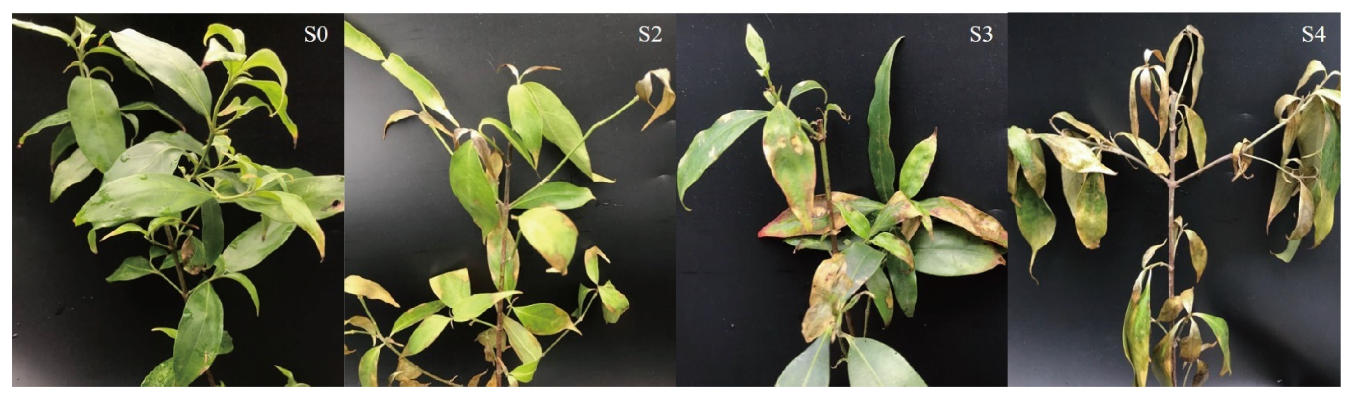 Forests 12 01522 g003