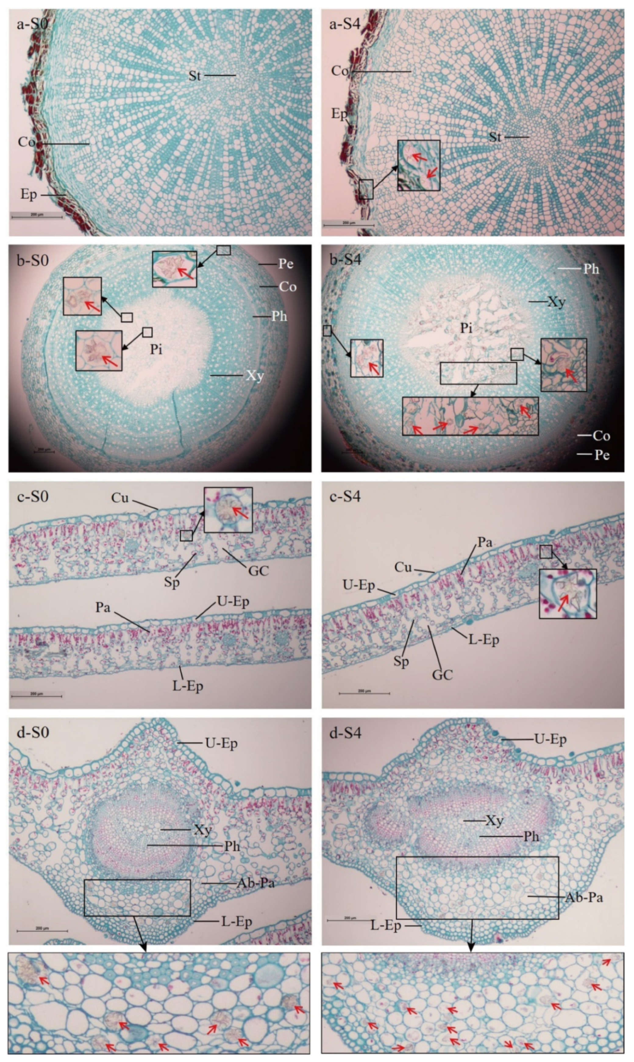 Forests 12 01522 g006
