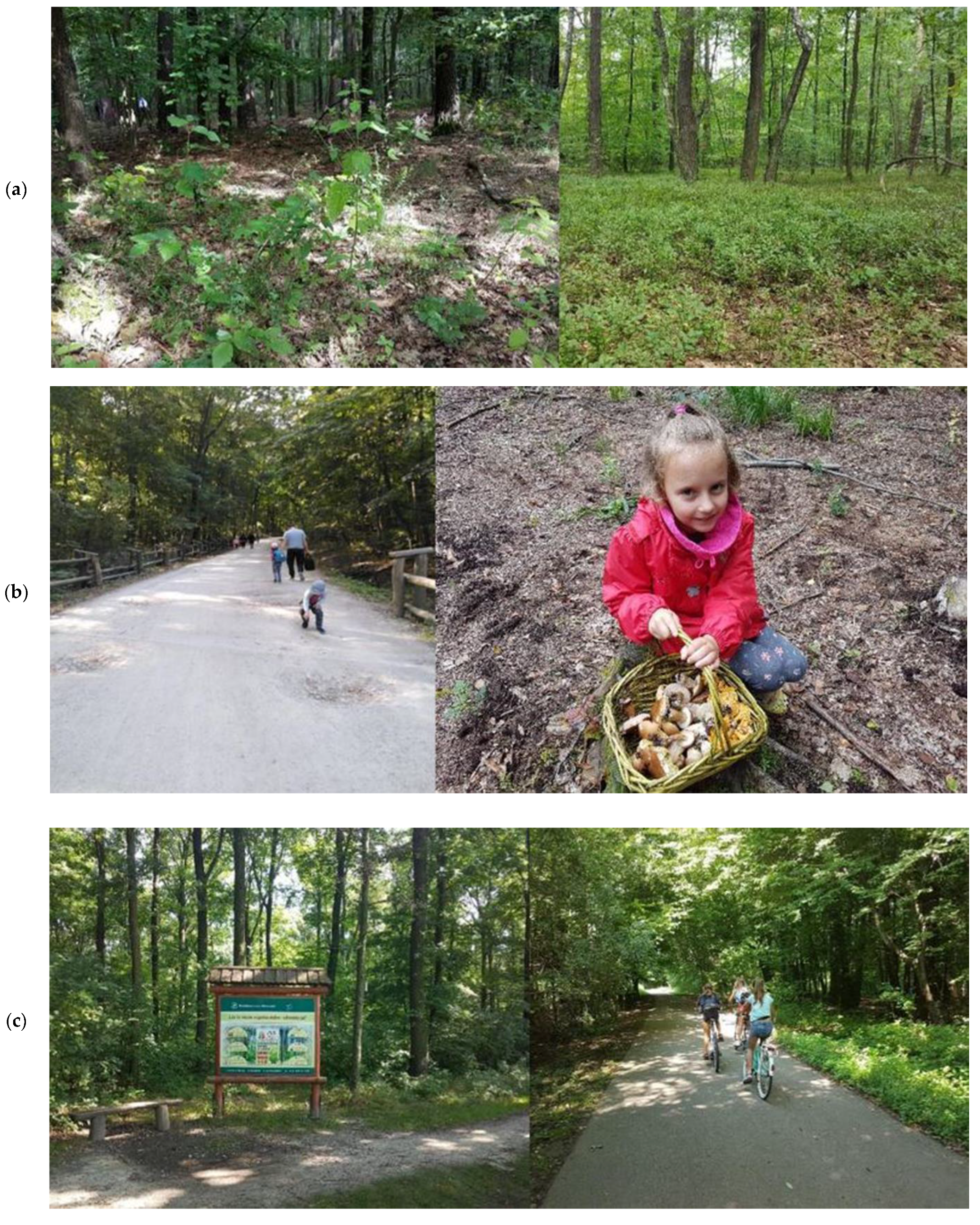 Forests 12 01524 g002a