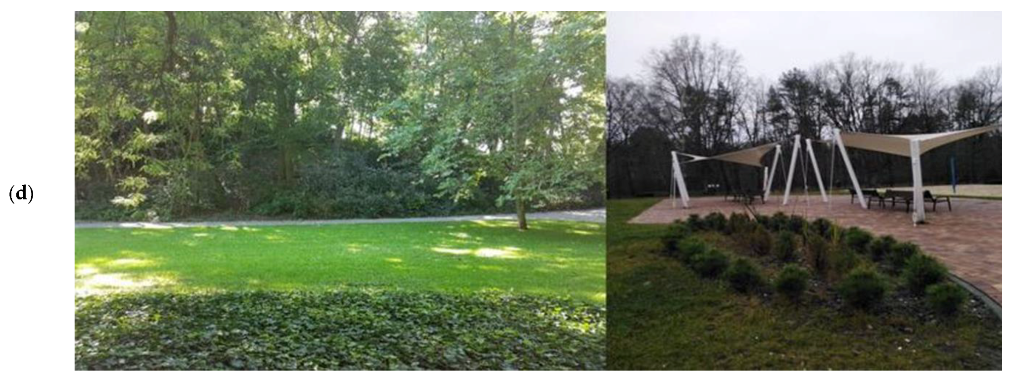 Forests 12 01524 g002b