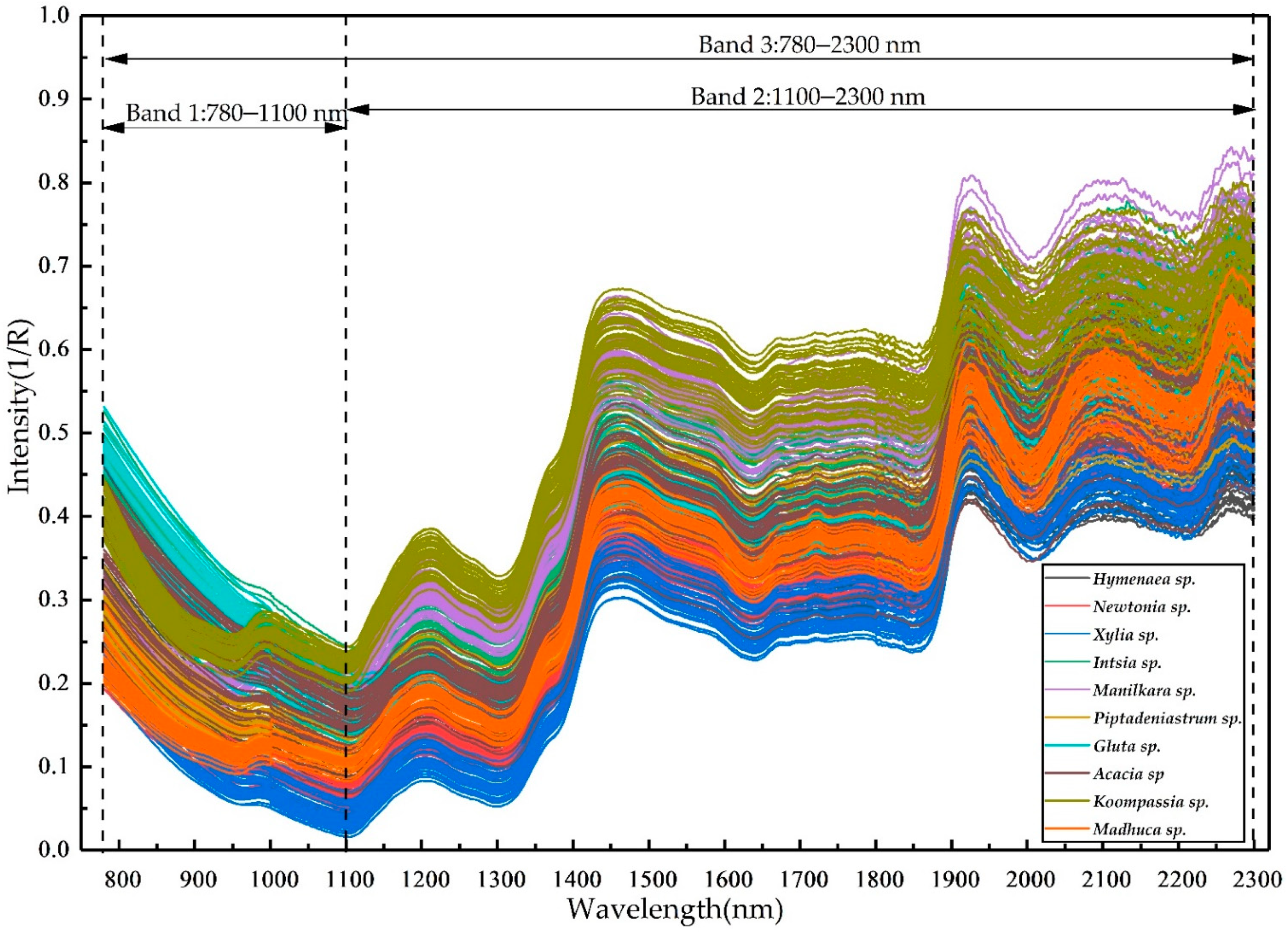 Forests 12 01527 g001