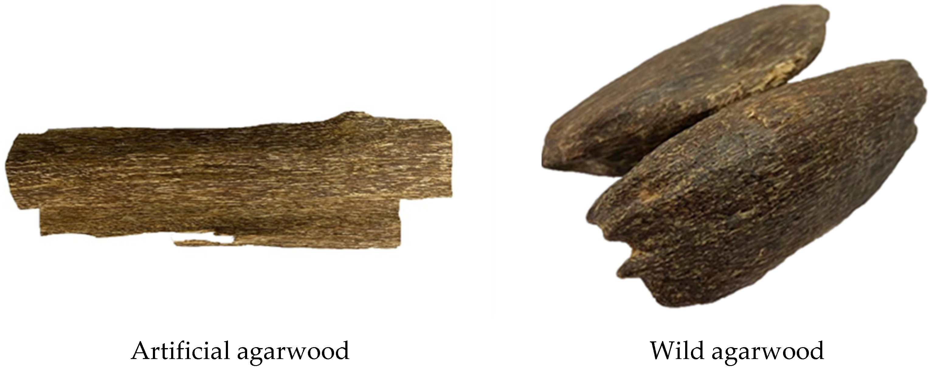 Forests 12 01532 g001