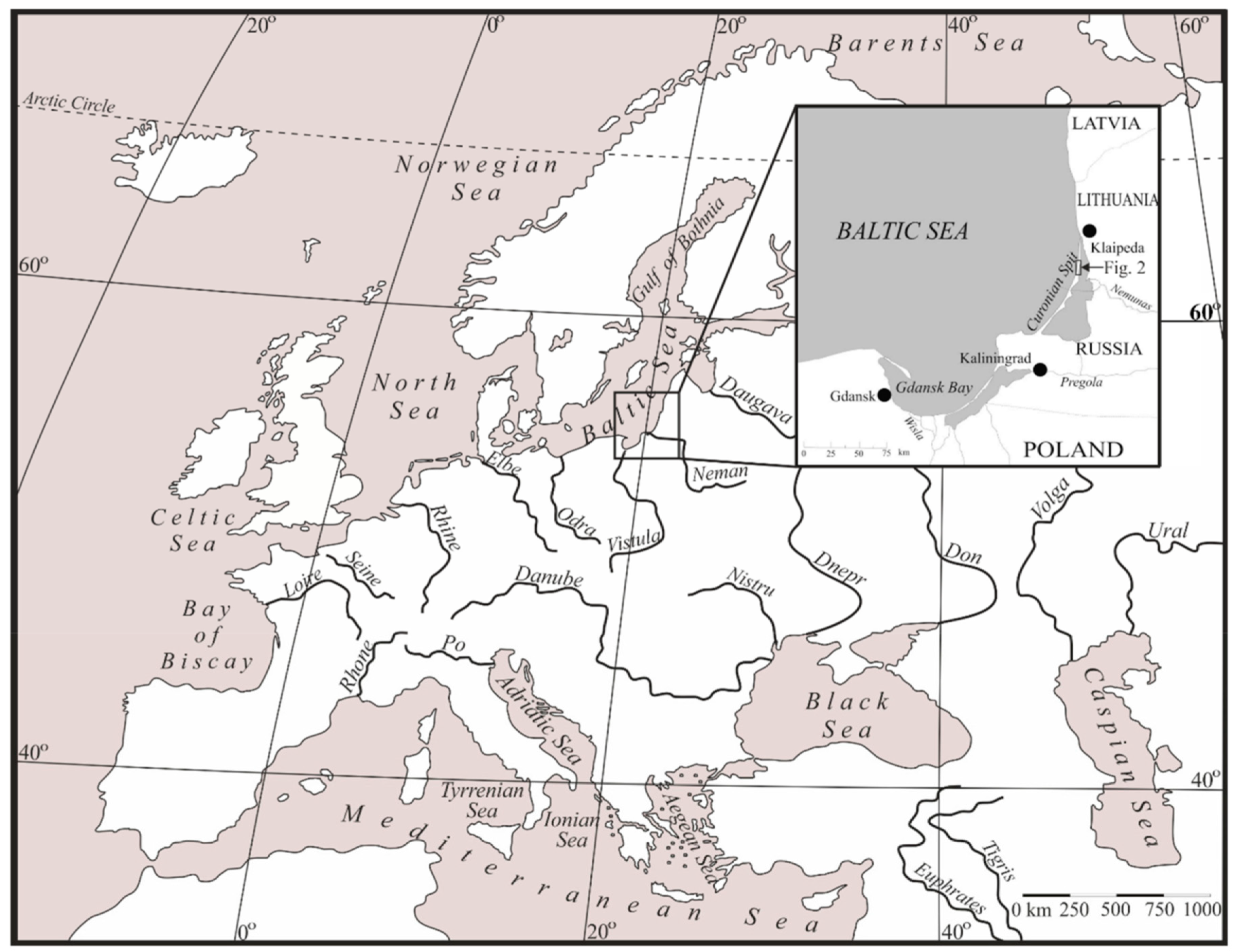 Forests 12 01534 g001 Forests 12 01534 g001