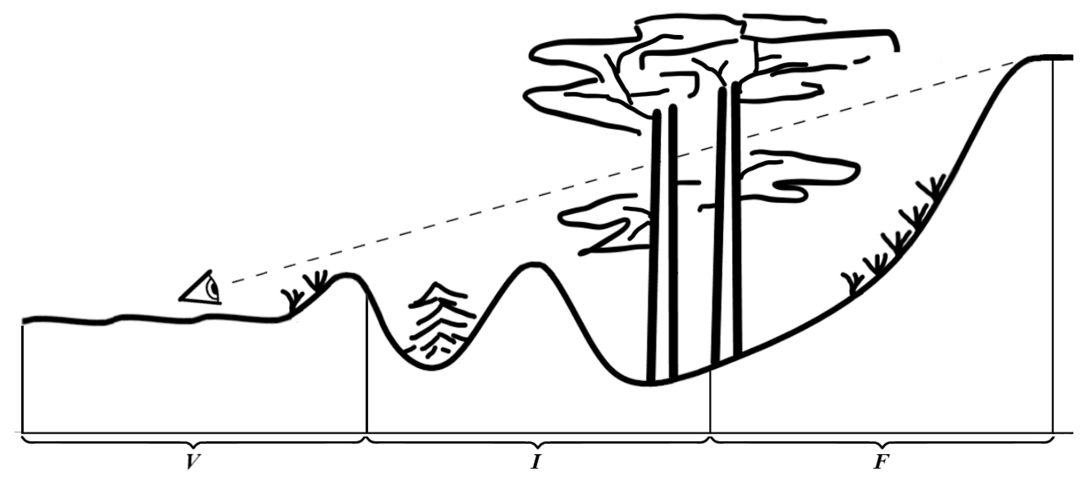 Forests 12 01534 g003 Forests 12 01534 g003
