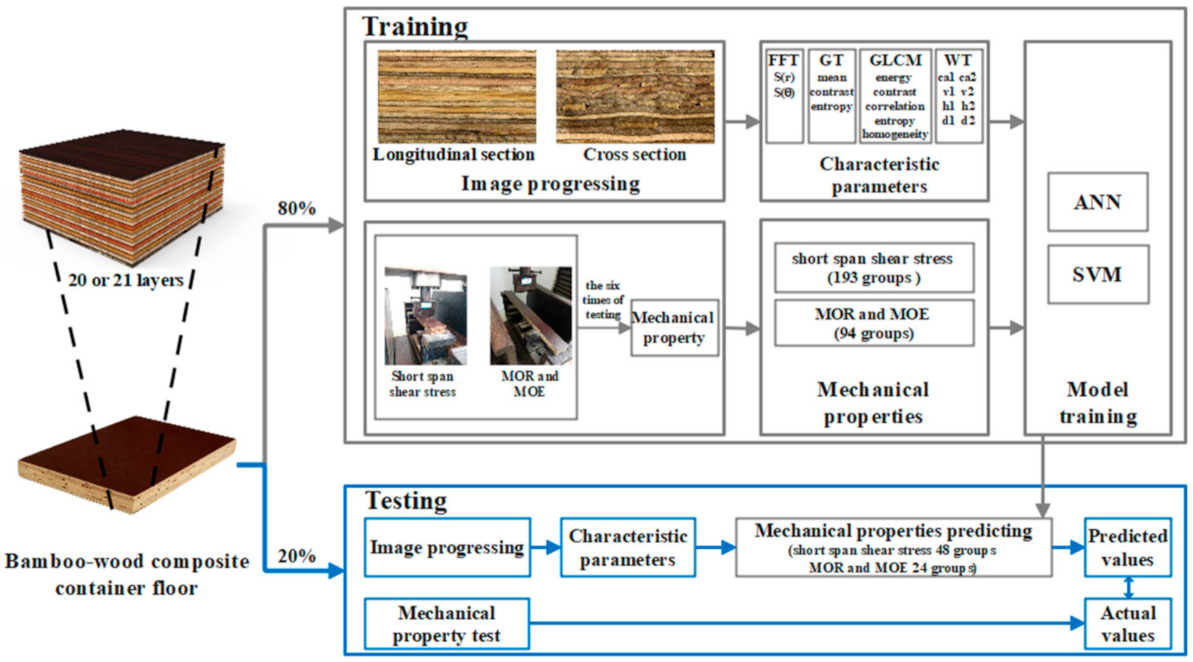 Forests 12 01535 g001