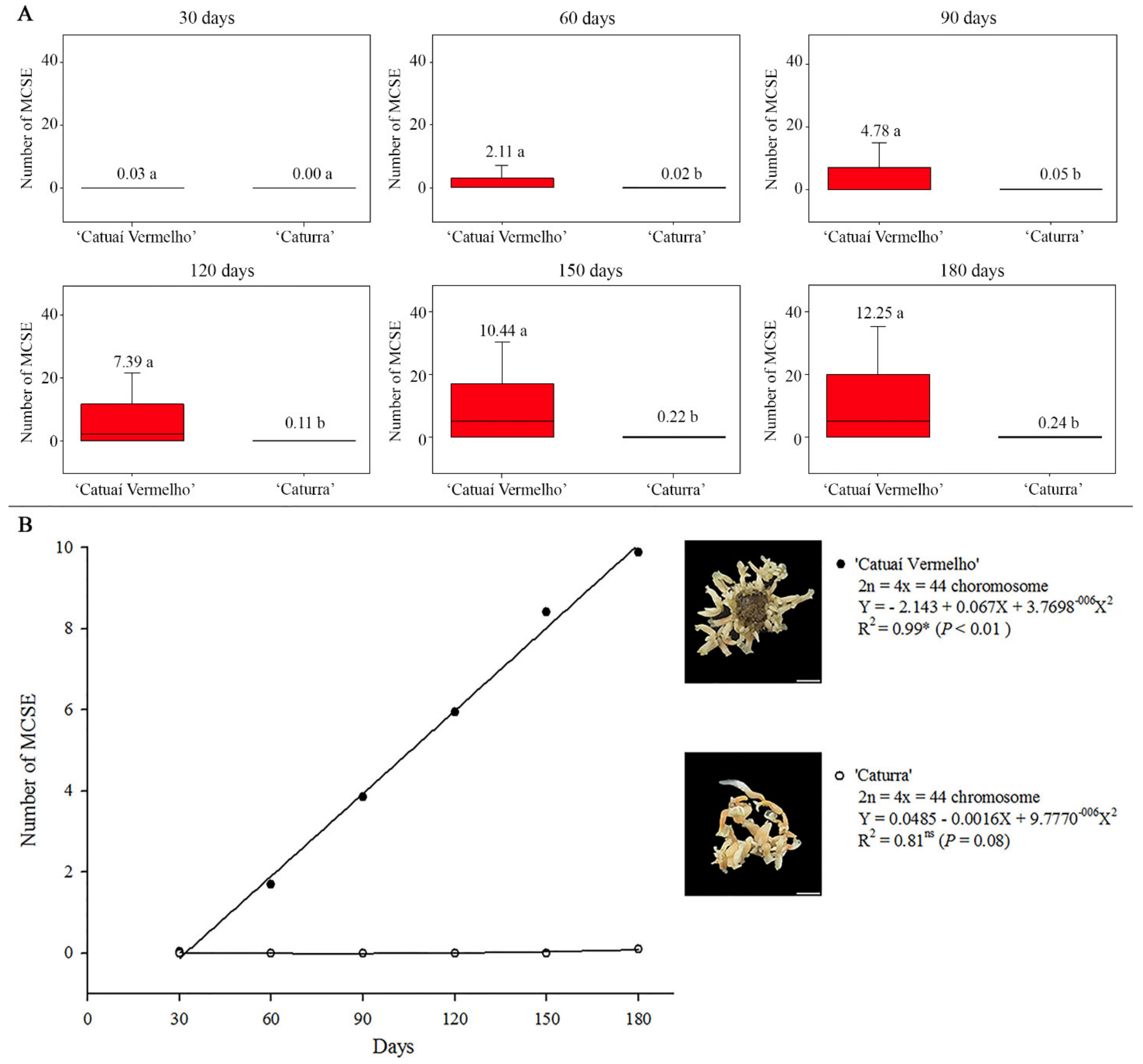 Forests 12 01536 g002