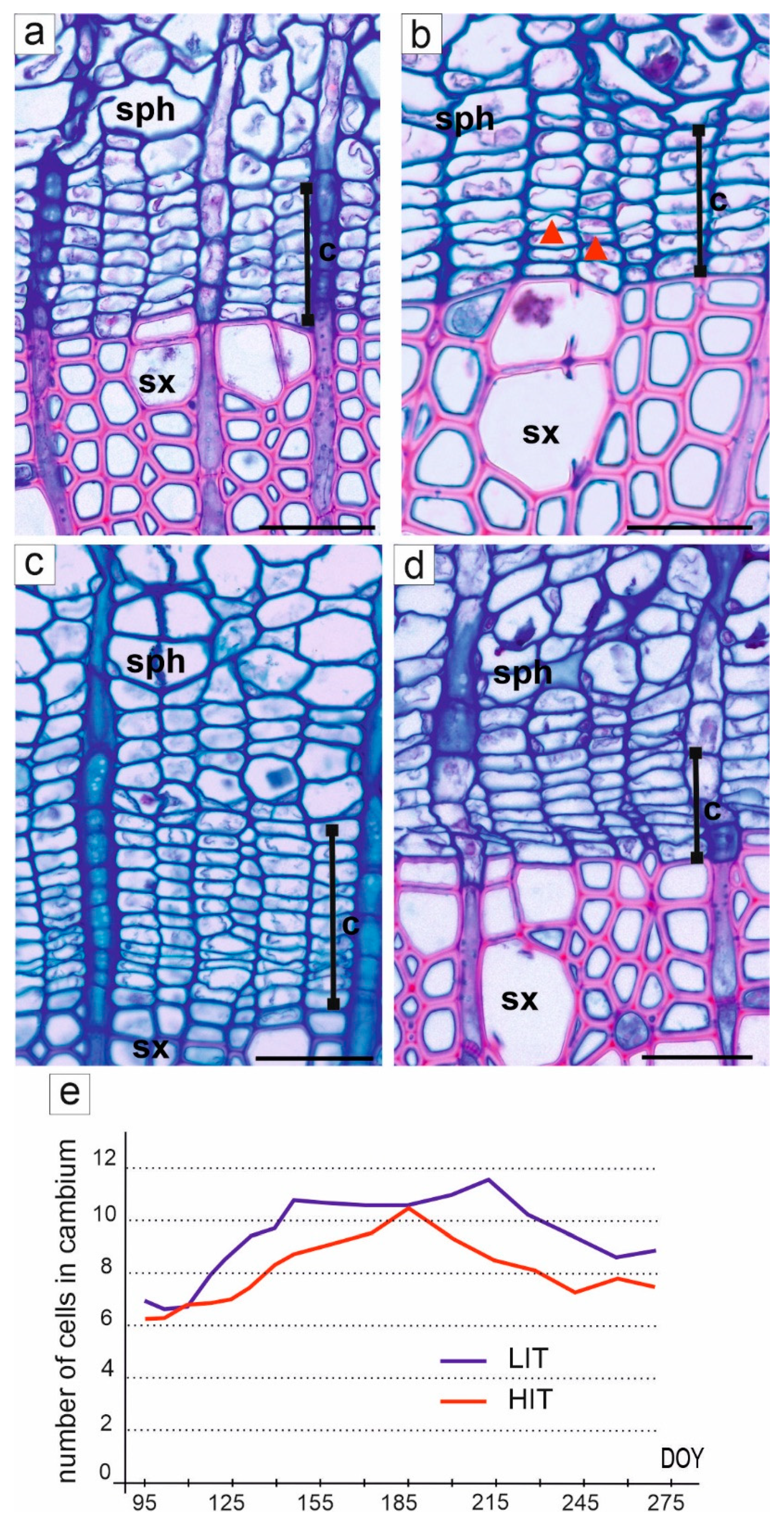 Forests 12 01537 g003