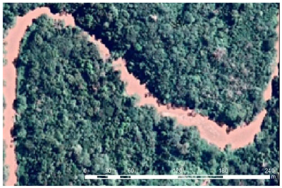 Forests 12 01539 i005