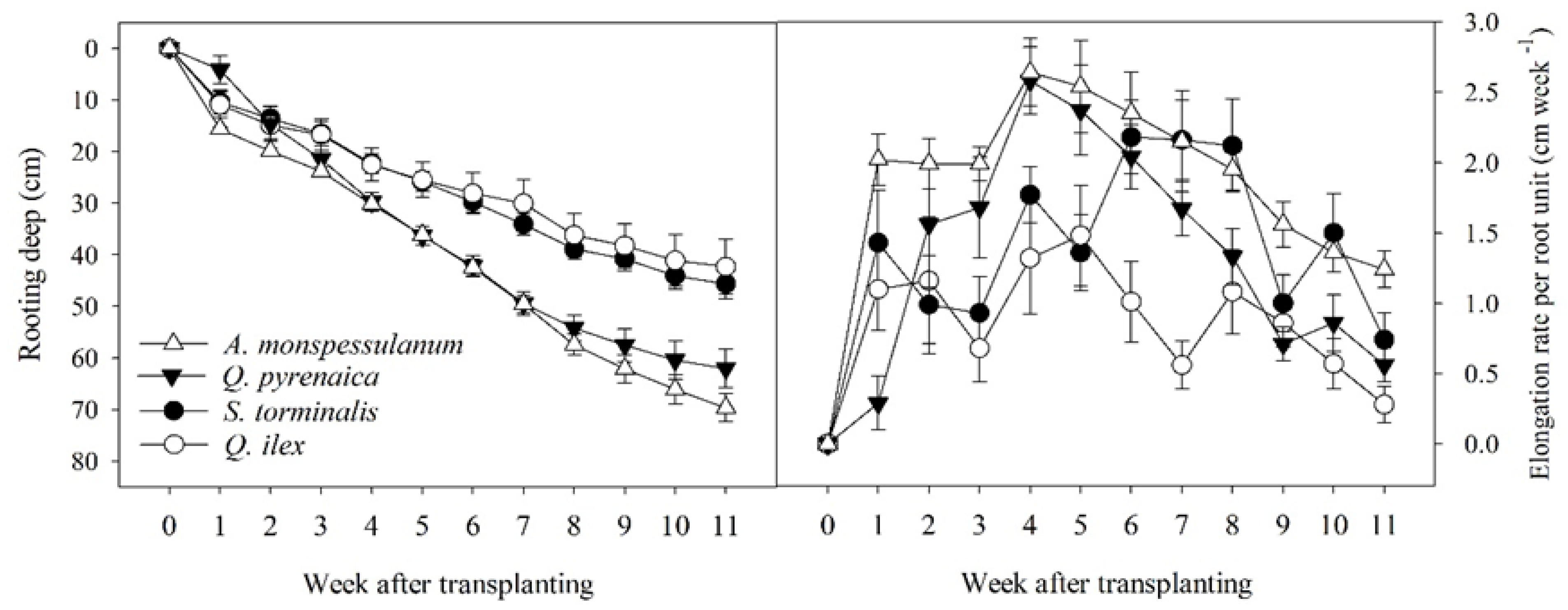 Forests 12 01540 g002 Forests 12 01540 g002