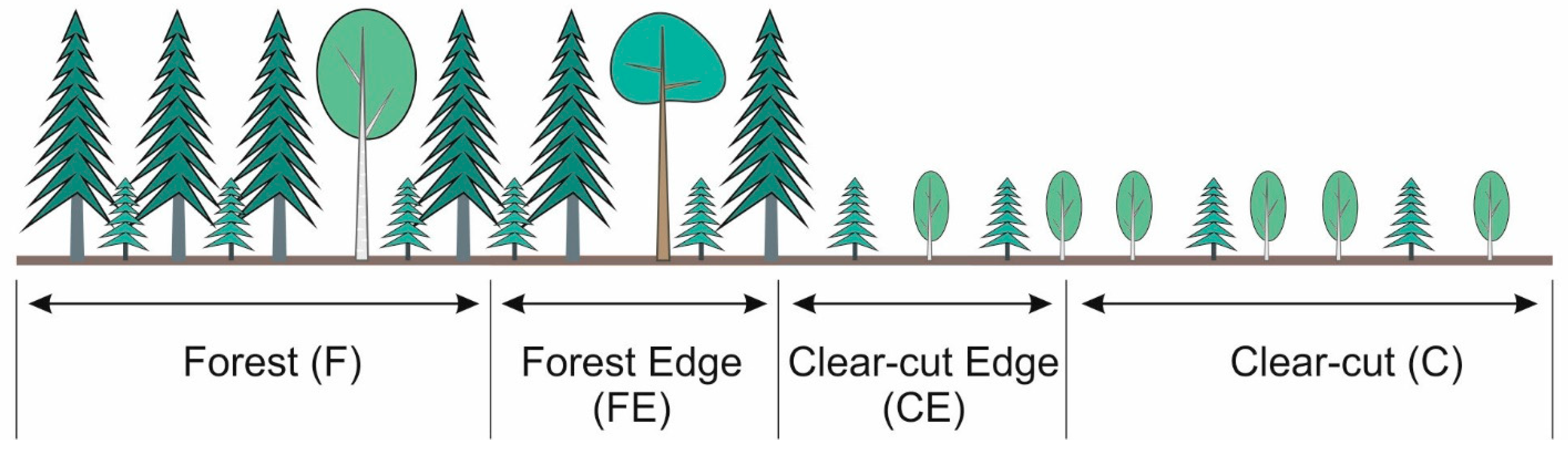 Forests 12 01542 g002 Forests 12 01542 g002