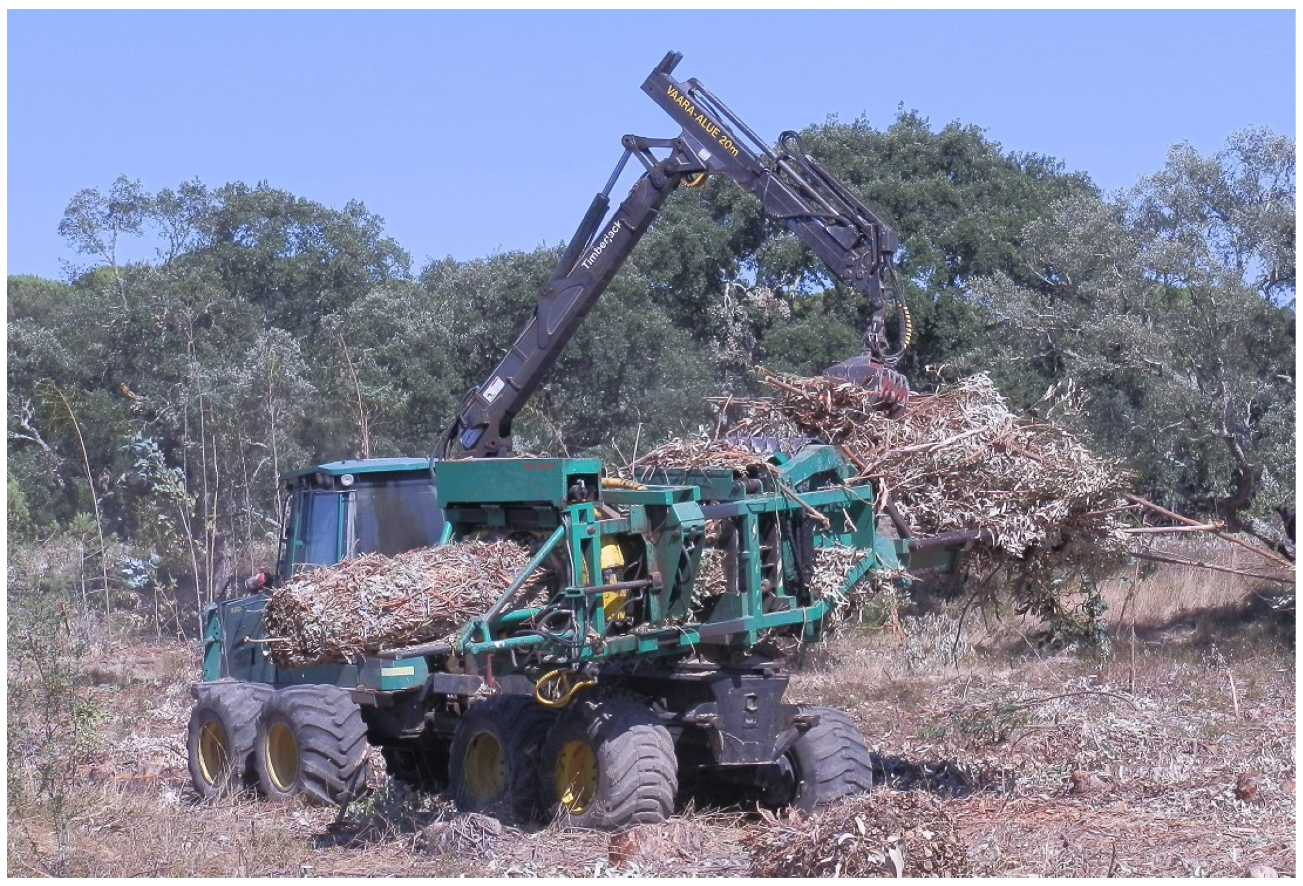 Forests 12 01548 g001