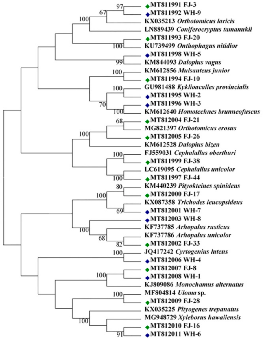 Forests 12 01549 g001 Forests 12 01549 g001
