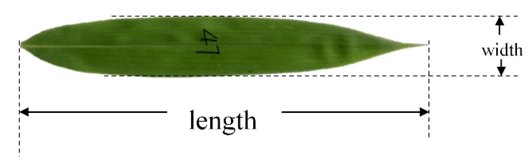 Forests 12 01554 g001 Forests 12 01554 g001
