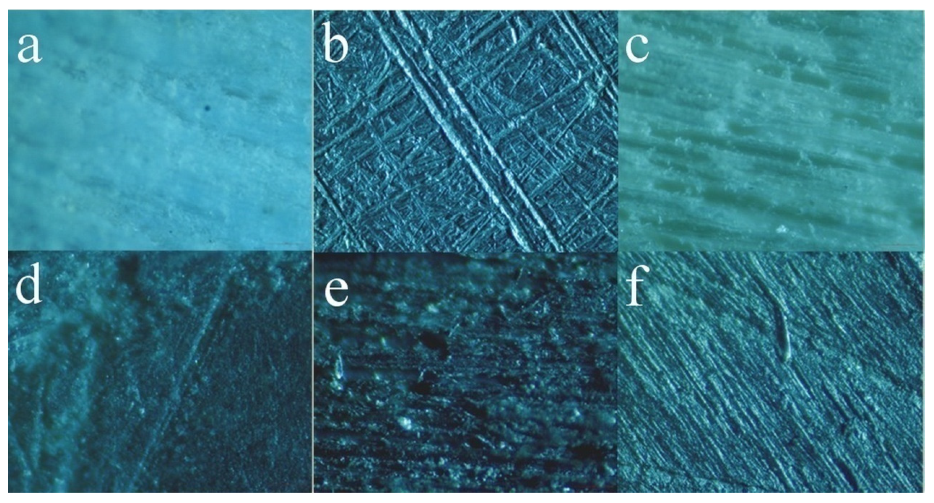 Forests 12 01564 g003