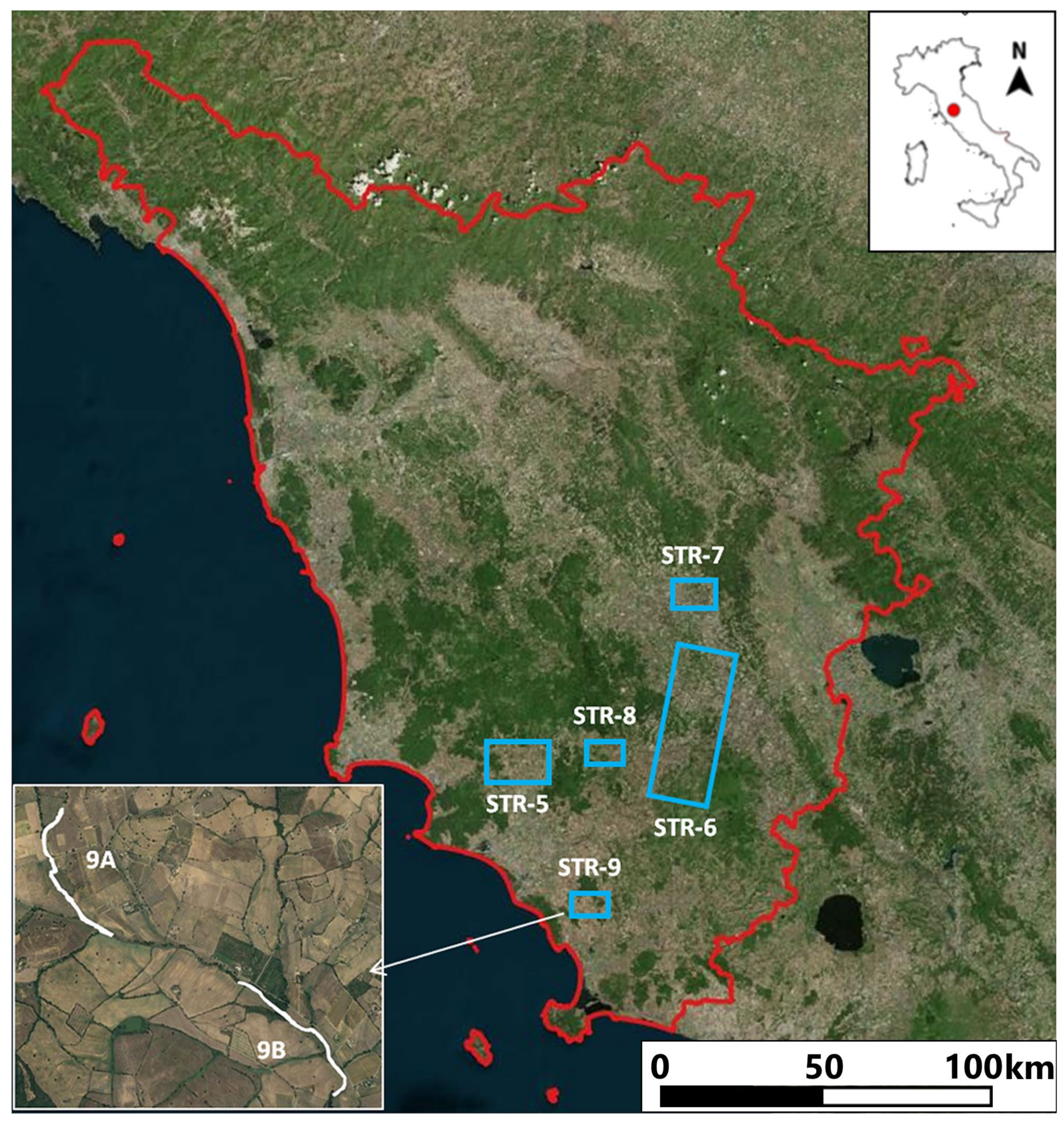 Forests 12 01566 g001