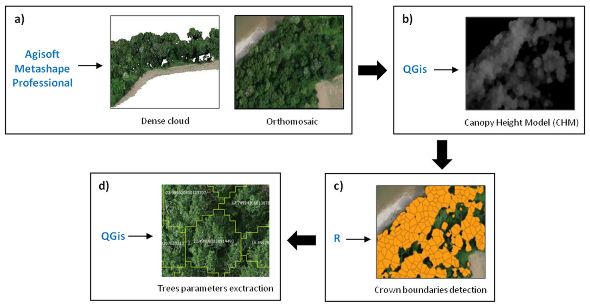 Forests 12 01566 g004
